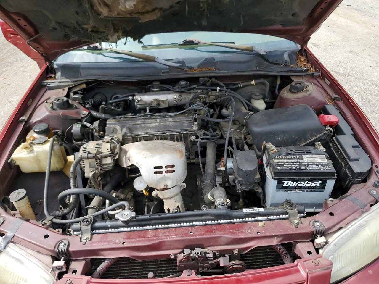 1999 Toyota Camry Le Бордовый vin: 4T1BG22K2XU616604