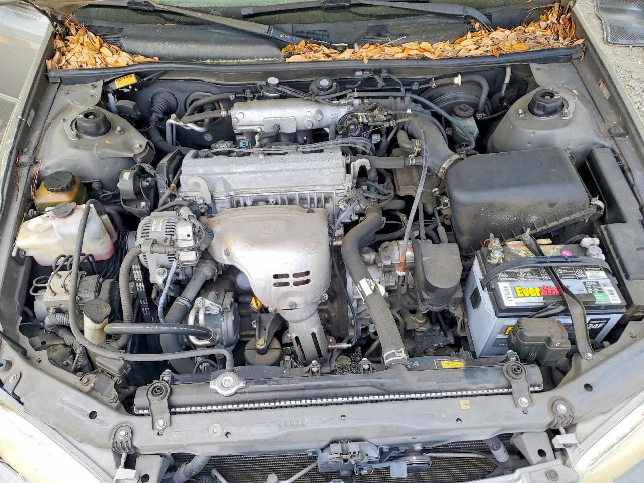 1999 Toyota Camry Le Tan vin: 4T1BG28K1XU532166