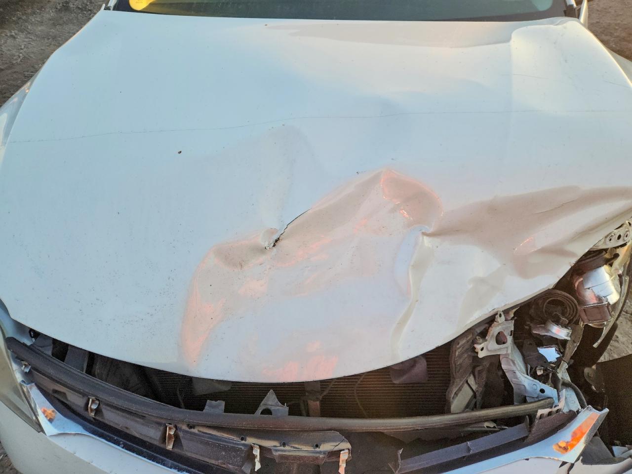 2014 Toyota Avalon Base Белый vin: 4T1BK1EB0EU080768