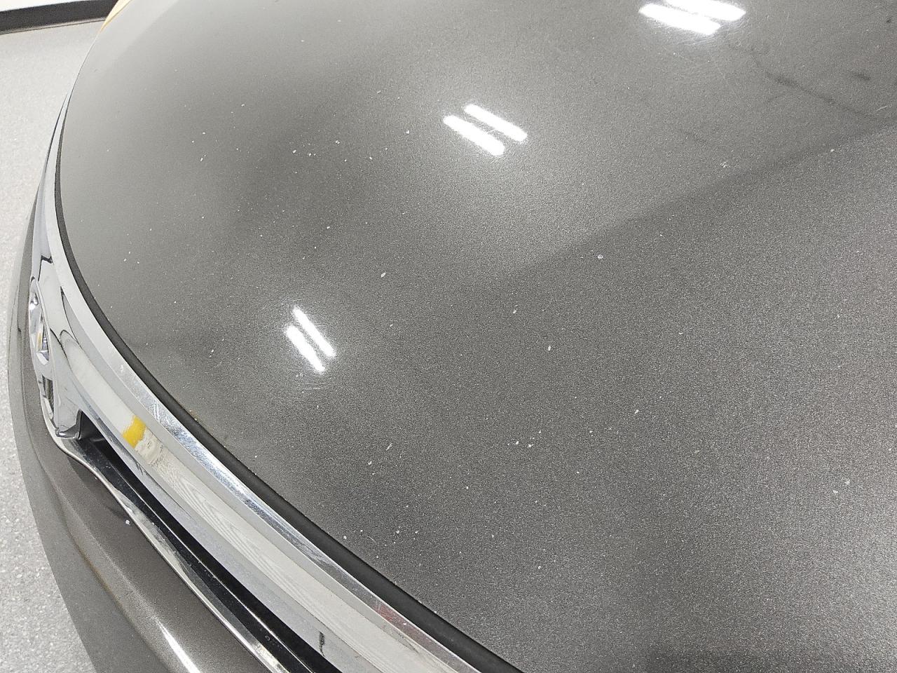 2015 Toyota Avalon Xle Premium Brown vin: 4T1BK1EB0FU154529 Damage: Hood, Repainted, Substandard Repair