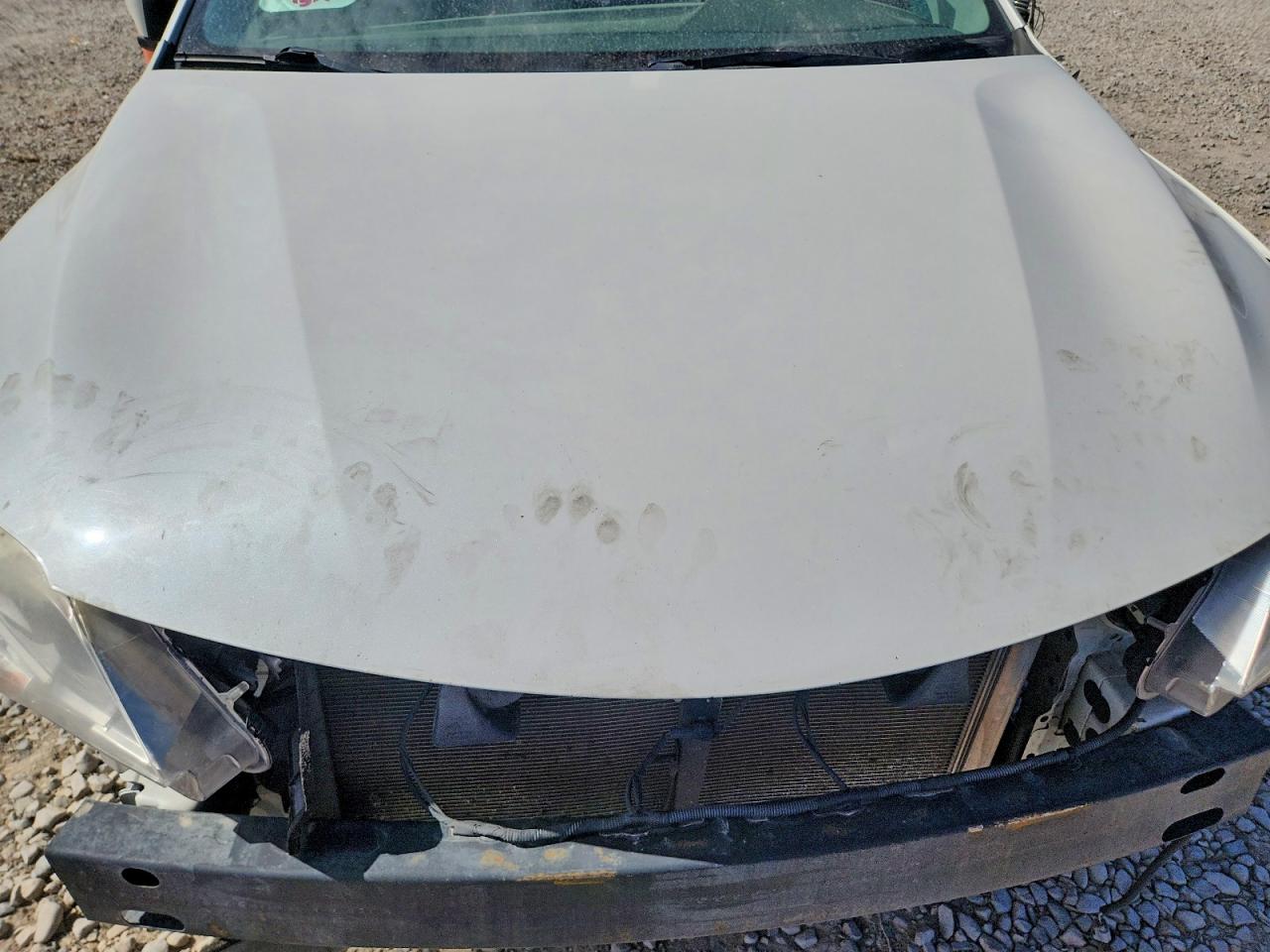 2013 Toyota Avalon Xle Белый vin: 4T1BK1EB1DU052203