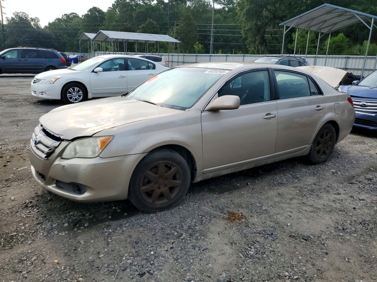 2008 Toyota Avalon Xl Beige vin: 4T1BK36B28U268304