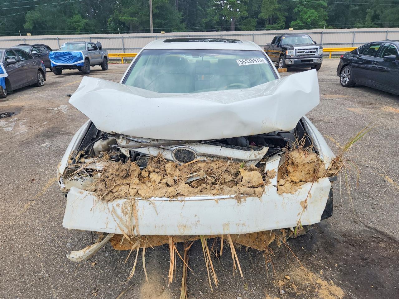 2005 Toyota Avalon Limited White vin: 4T1BK36B35U010949