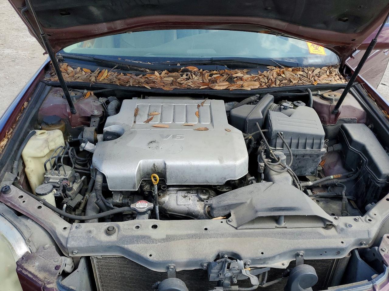 2006 Toyota Avalon Xls Темно-бордовый vin: 4T1BK36B76U068807