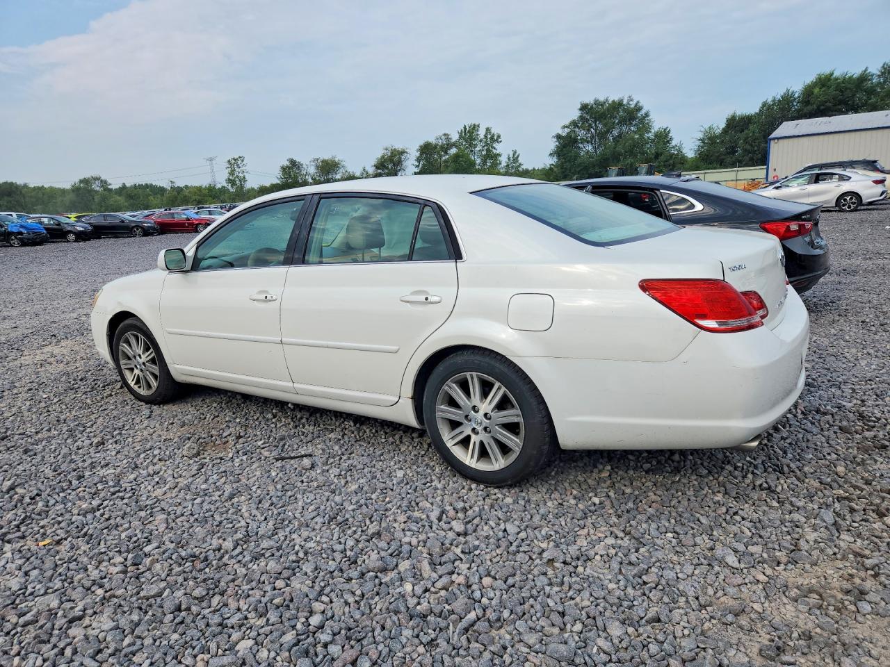 2006 Toyota Avalon Limited White vin: 4T1BK36B86U149461