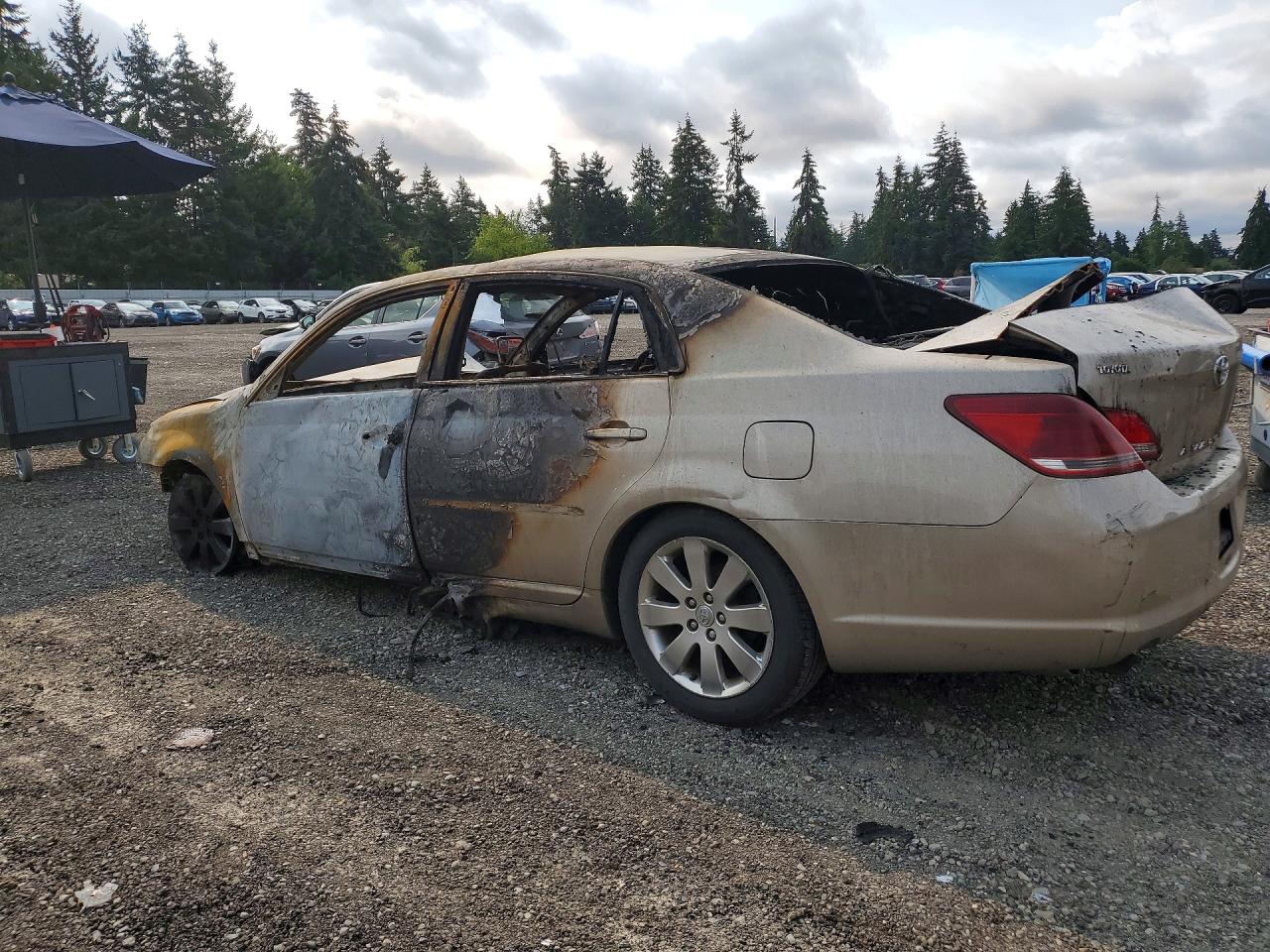 2005 Toyota Avalon Xls Gold vin: 4T1BK36BX5U006798
