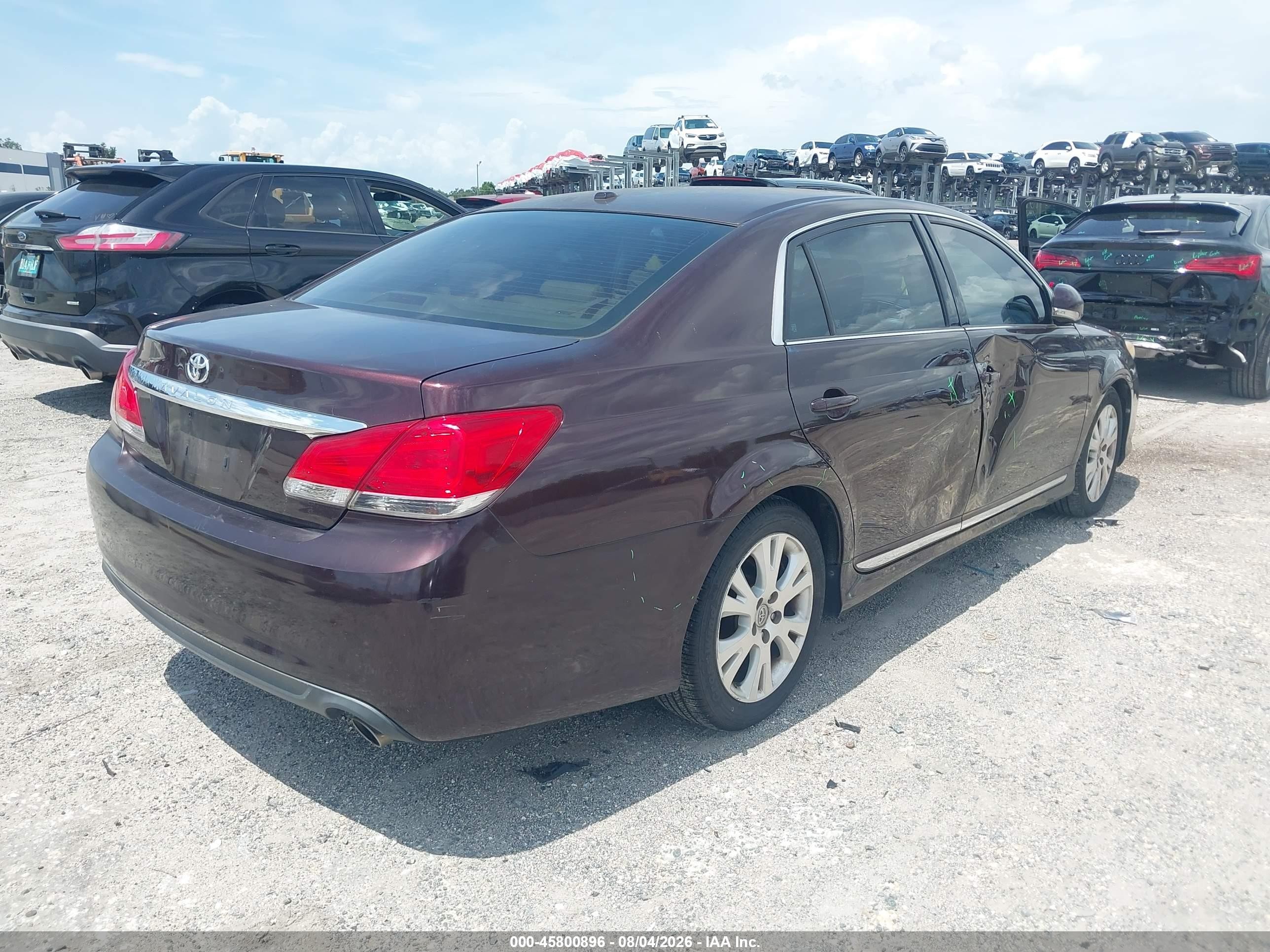 2011 Toyota Avalon   Фиолетовый vin: 4T1BK3DB8BU439728