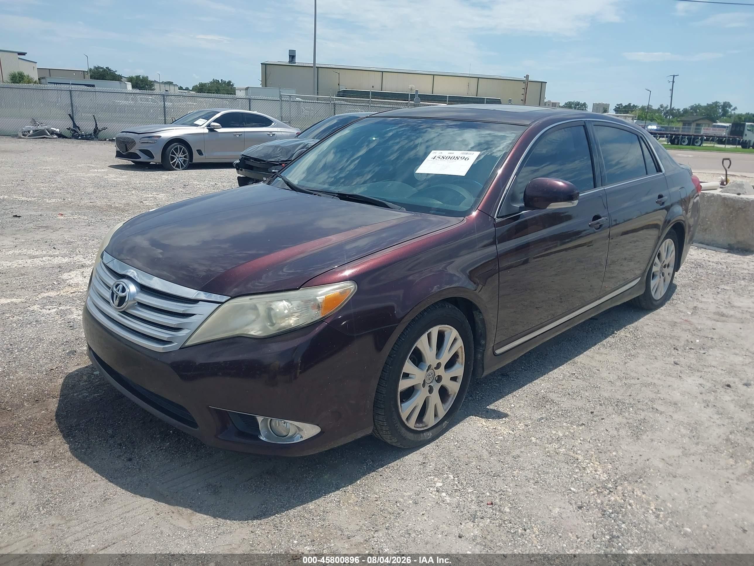 2011 Toyota Avalon   Фиолетовый vin: 4T1BK3DB8BU439728