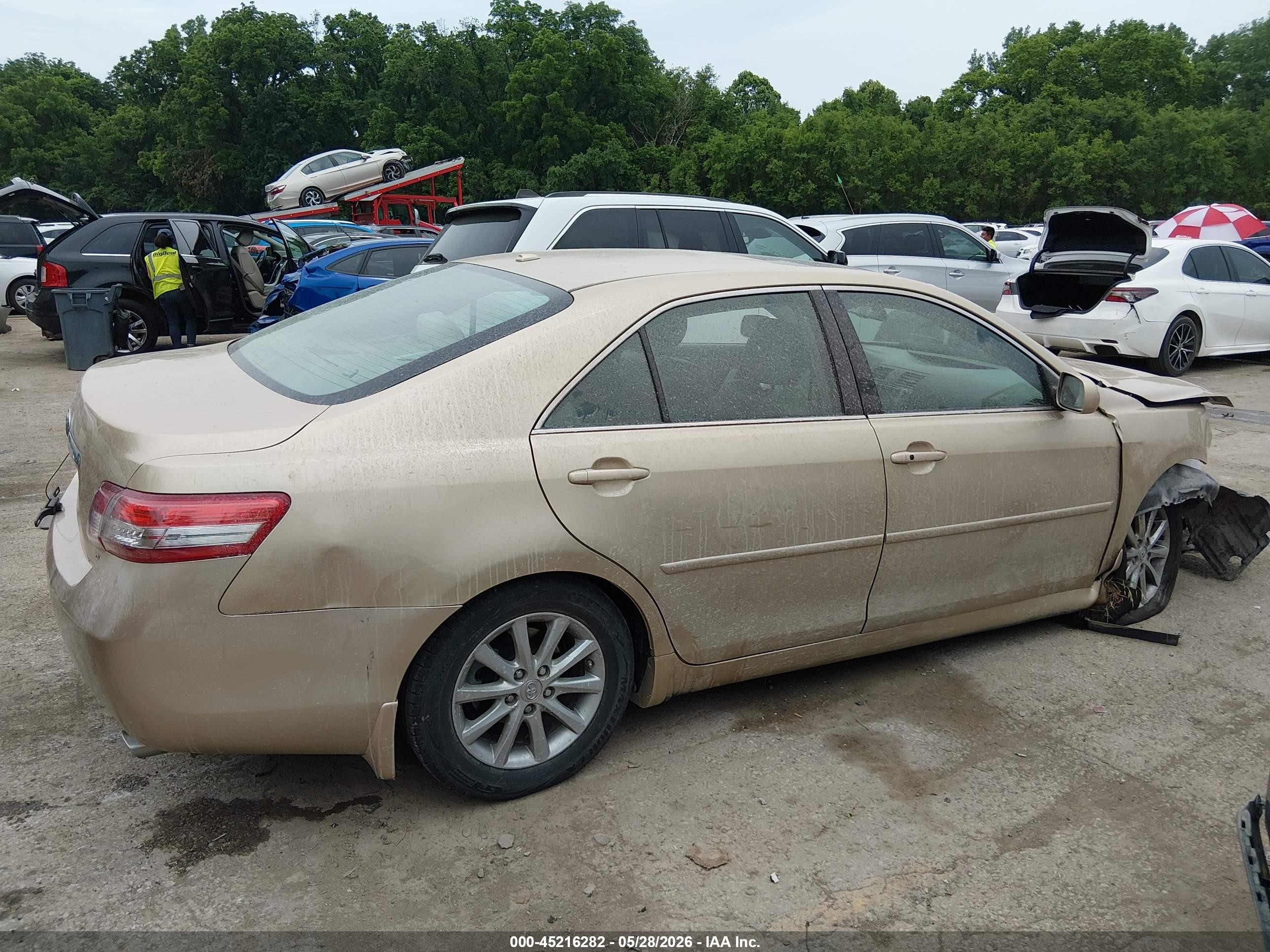 2011 Toyota Camry Xle V6 Gold vin: 4T1BK3EK0BU119267
