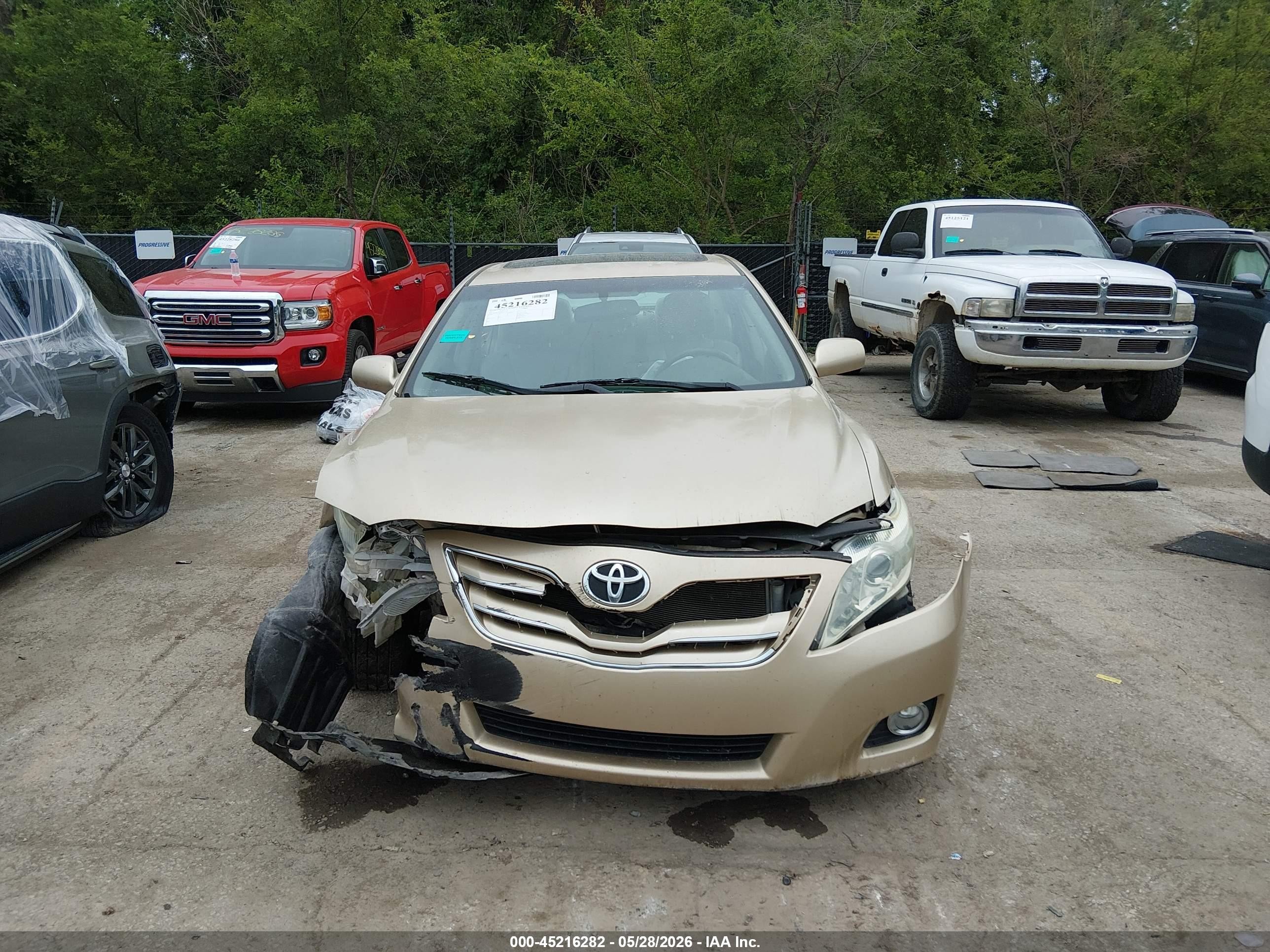 2011 Toyota Camry Xle V6 Gold vin: 4T1BK3EK0BU119267