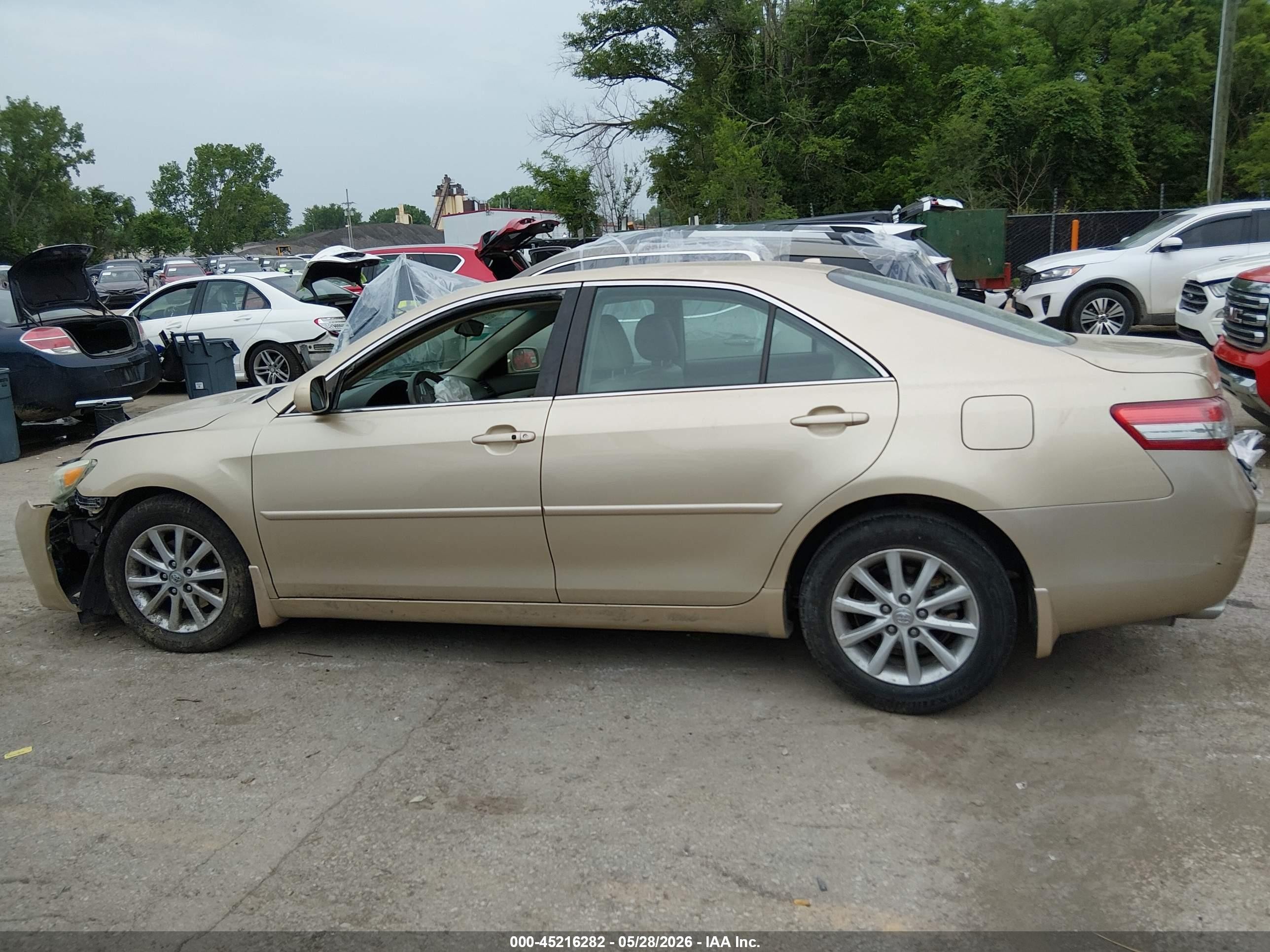 2011 Toyota Camry Xle V6 Gold vin: 4T1BK3EK0BU119267