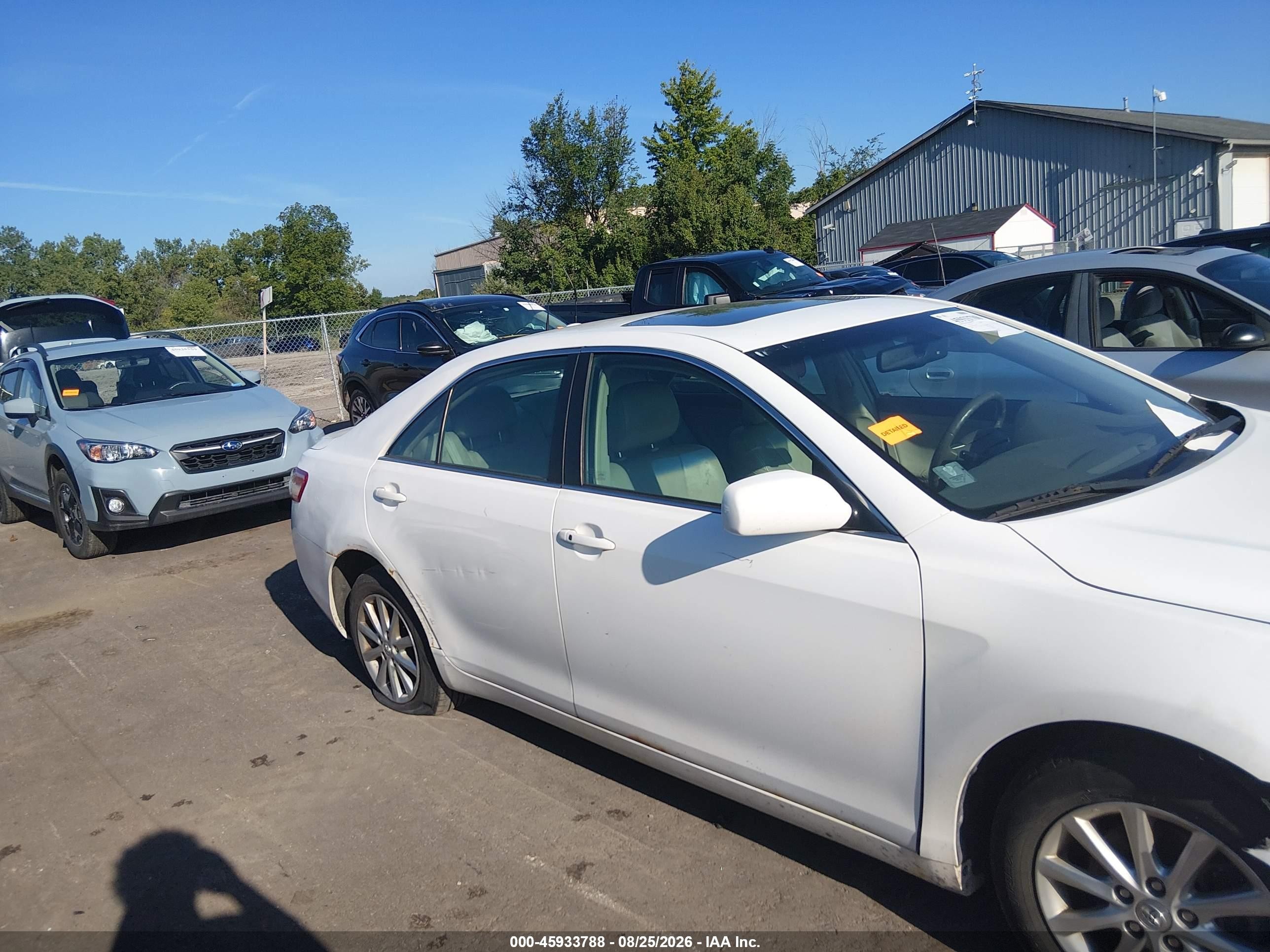 2010 Toyota Camry Xle V6 White vin: 4T1BK3EK2AU609255