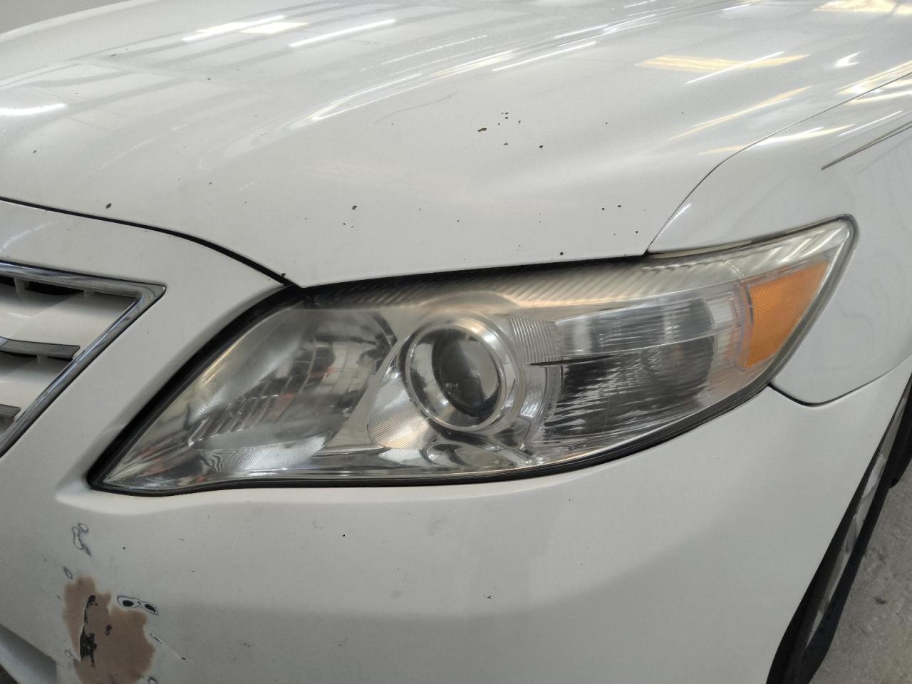 2011 Toyota Camry Xle V6 White vin: 4T1BK3EK2BU618880 Damage: Left Head Lamp, Faded, Repair Required