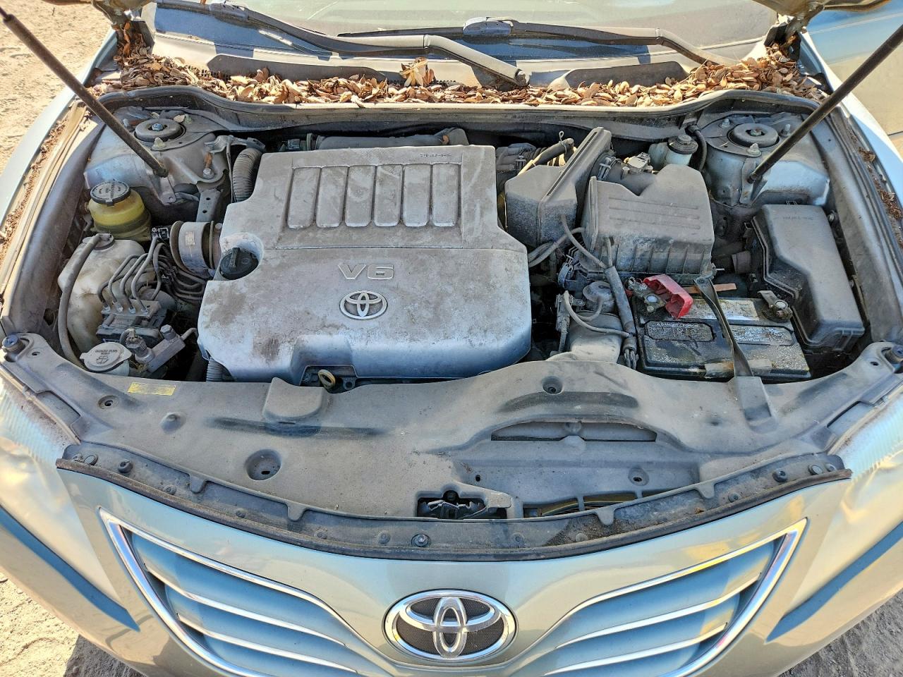 2011 Toyota Camry Xle V6 Teal vin: 4T1BK3EK3BU614112