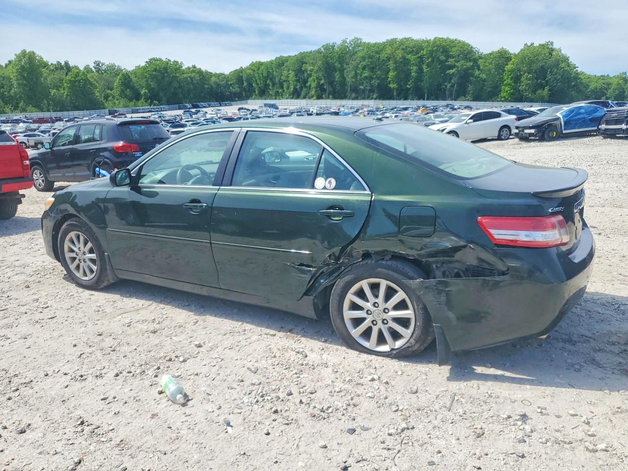 2011 Toyota Camry Xle V6 Green vin: 4T1BK3EK4BU612529