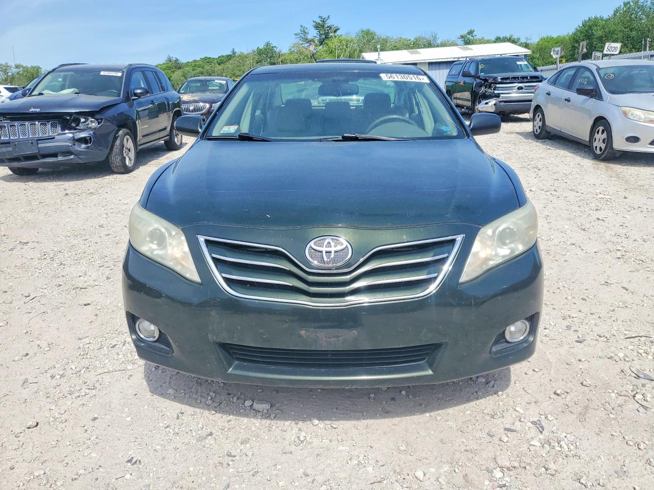 2011 Toyota Camry Xle V6 Green vin: 4T1BK3EK4BU612529