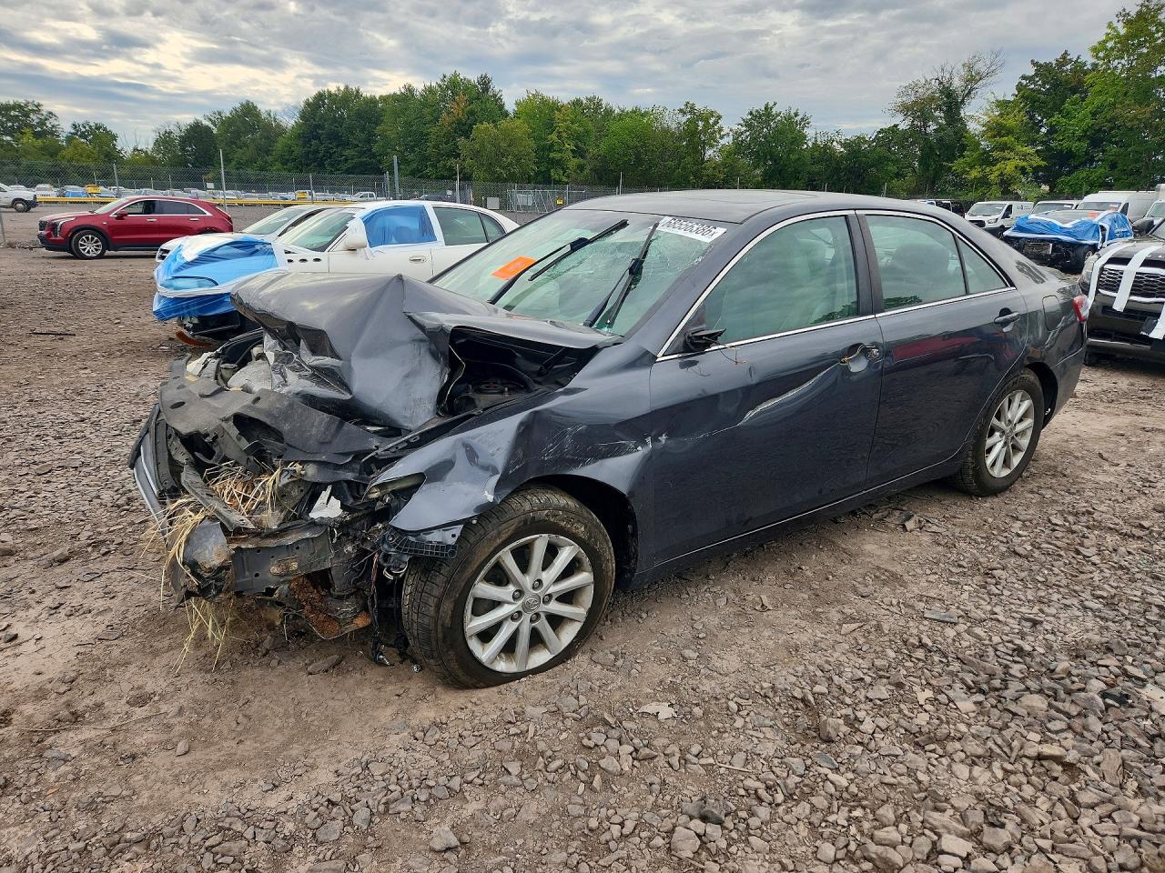 2010 Toyota Camry Xle V6 Gray vin: 4T1BK3EK5AU101152
