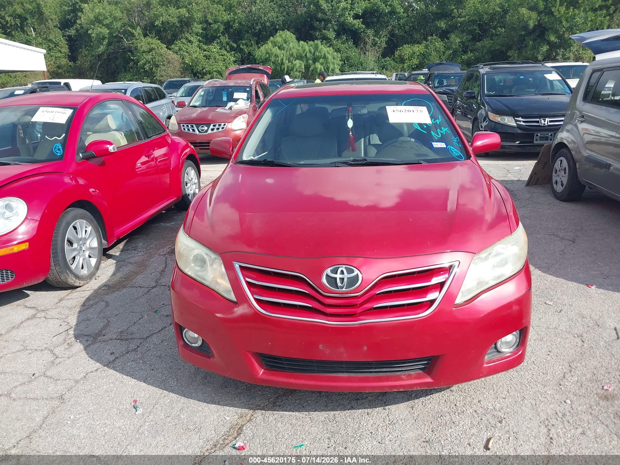 2011 Toyota Camry Xle V6 Red vin: 4T1BK3EK5BU632773
