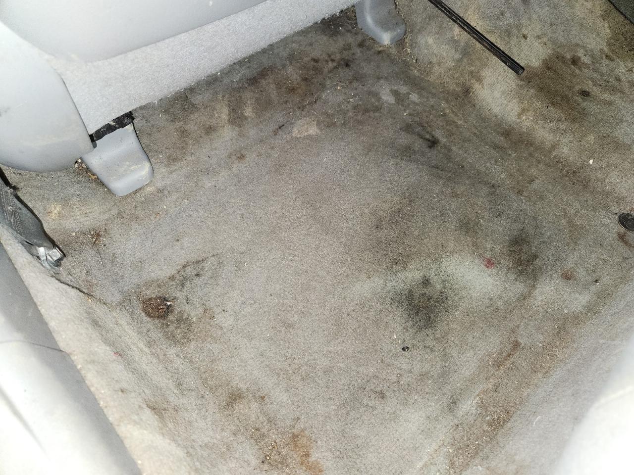 2011 Toyota Camry Le V6 Черный vin: 4T1BK3EK6BU122898 Damage: Left Rear Carpet, Stained, Permanent