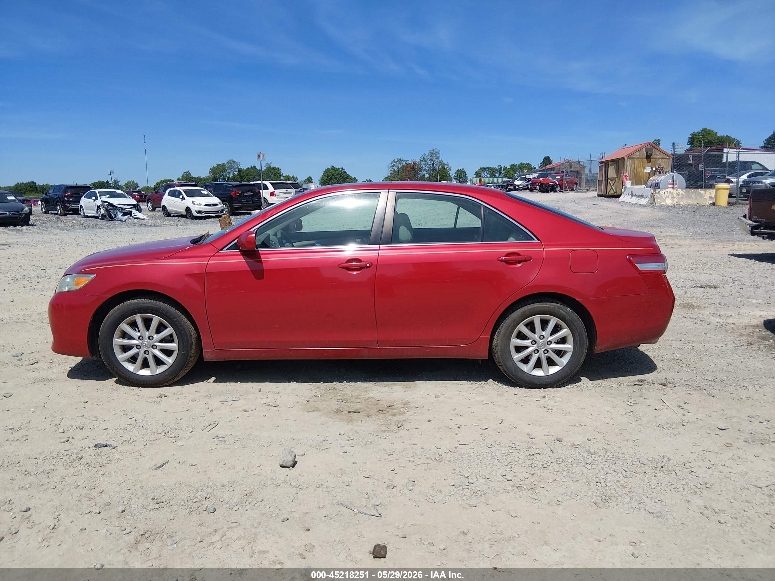 2011 Toyota Camry Xle V6 Red vin: 4T1BK3EK6BU618929