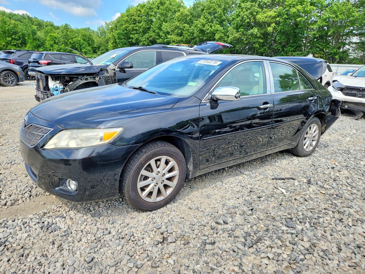 2011 Toyota Camry Xle V6 Black vin: 4T1BK3EK7BU126149
