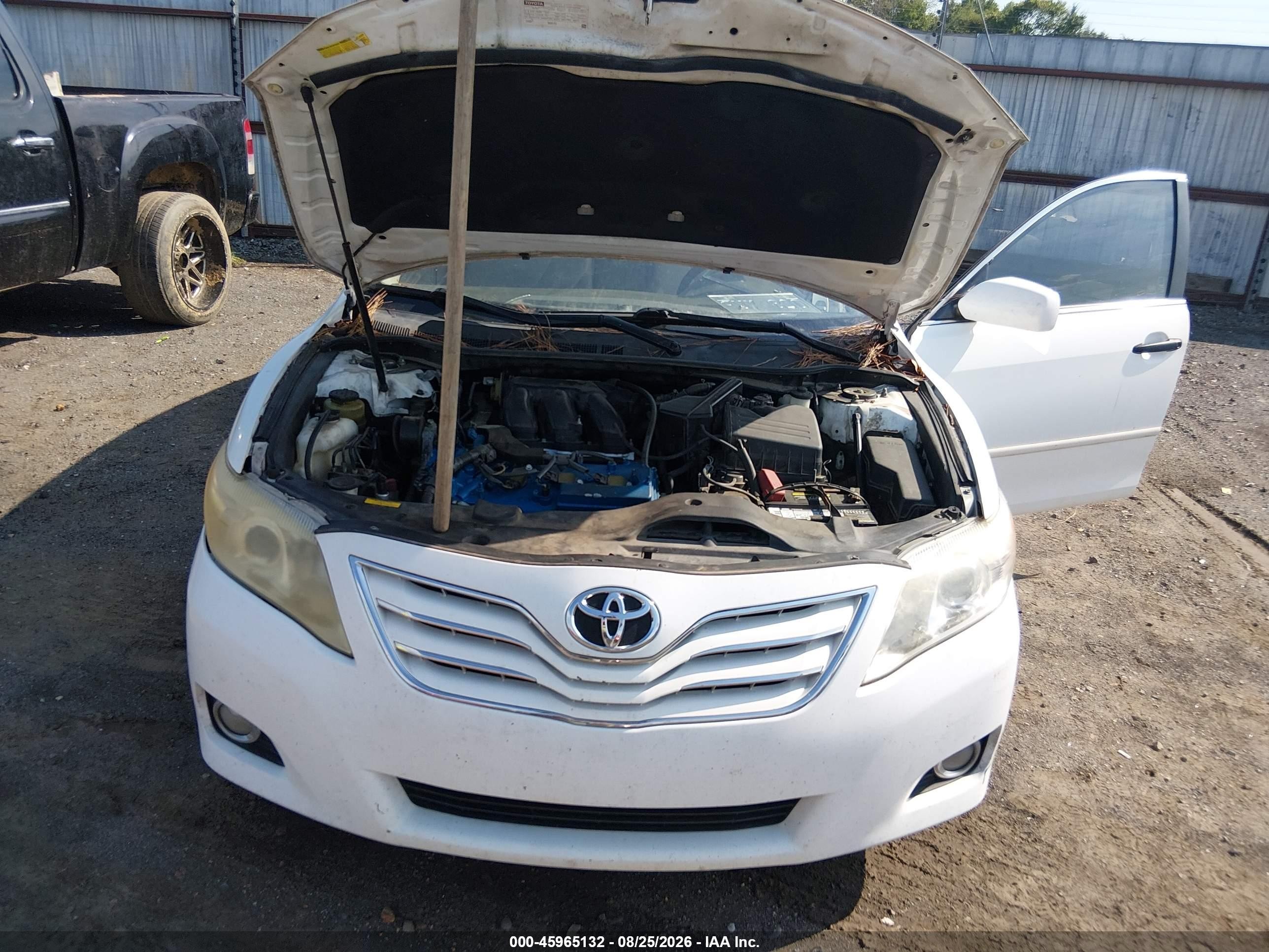 2011 Toyota Camry Xle V6 Белый vin: 4T1BK3EK7BU610564