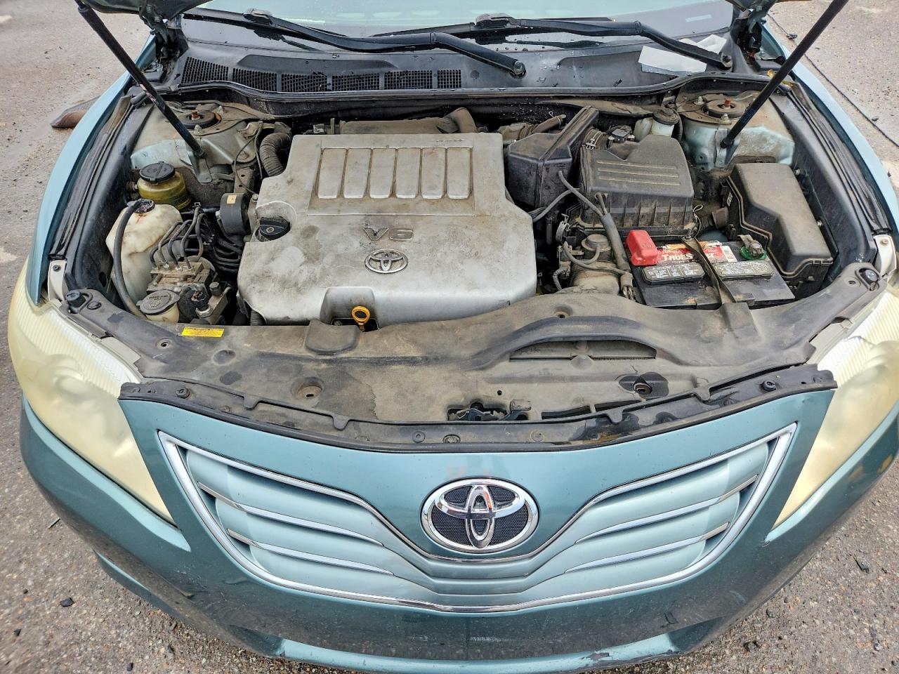 2011 Toyota Camry Xle V6 Green vin: 4T1BK3EK9BU627088