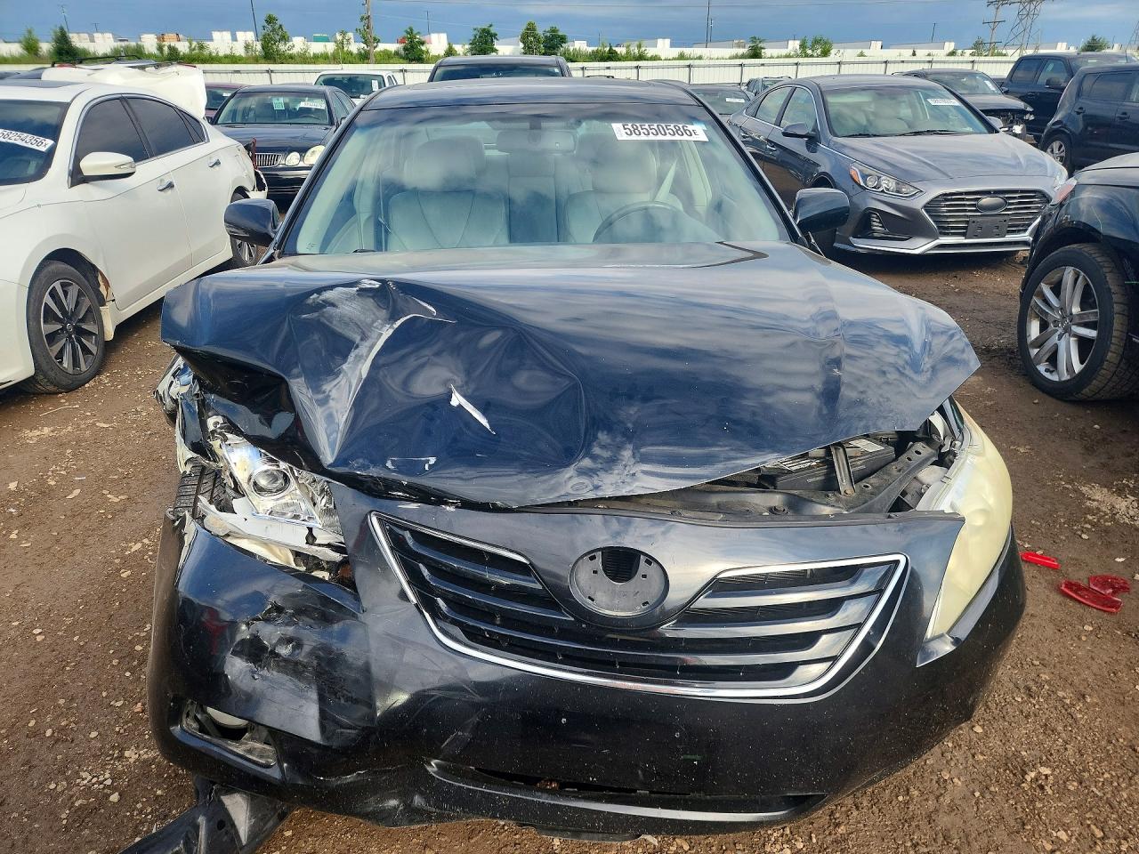 2009 Toyota Camry Xle V6 Black vin: 4T1BK46K19U092241
