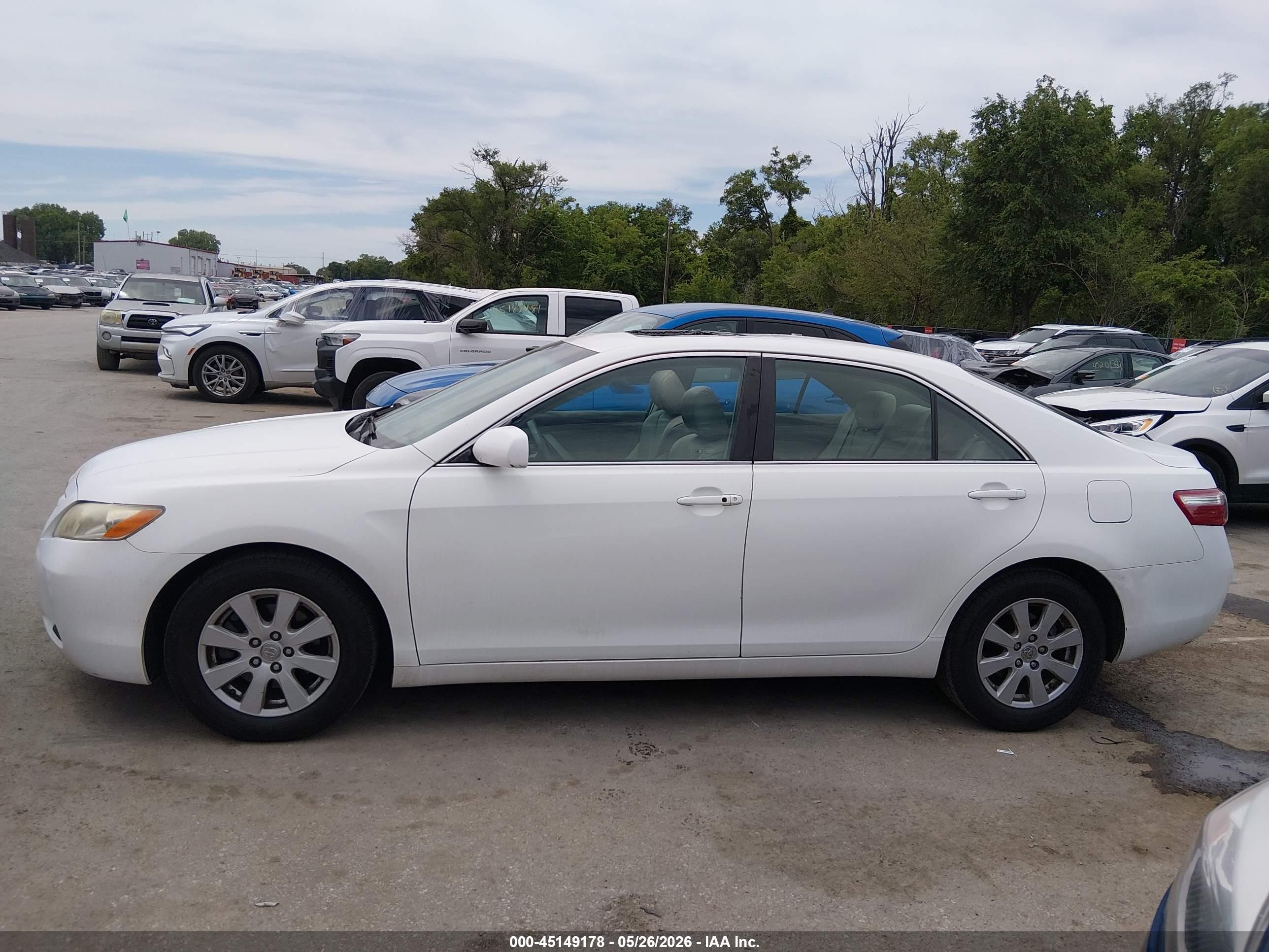 2009 Toyota Camry Xle V6 White vin: 4T1BK46K19U577169