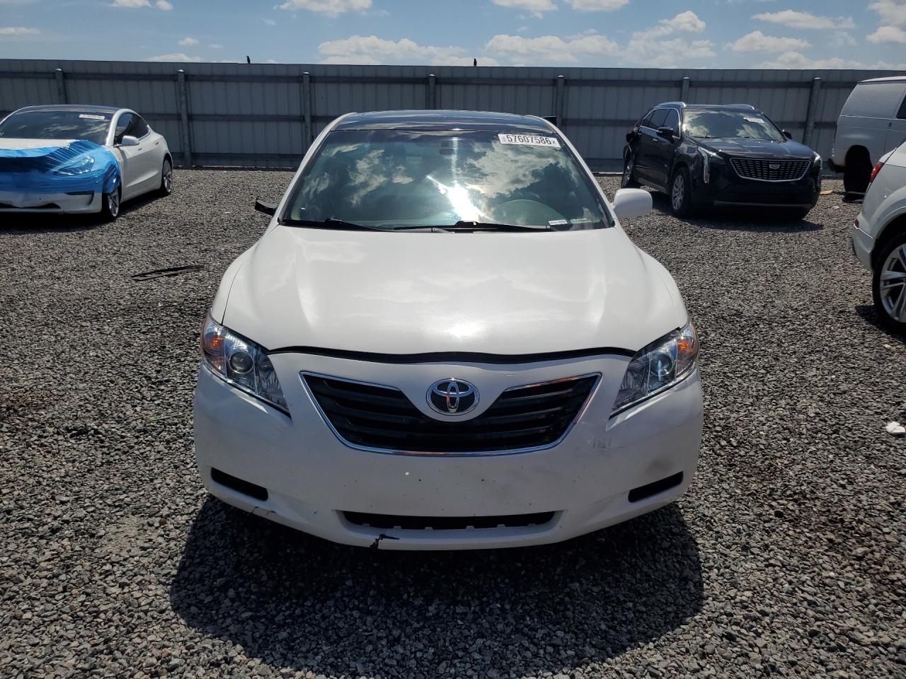 2008 Toyota Camry Xle V6 White vin: 4T1BK46K38U566141