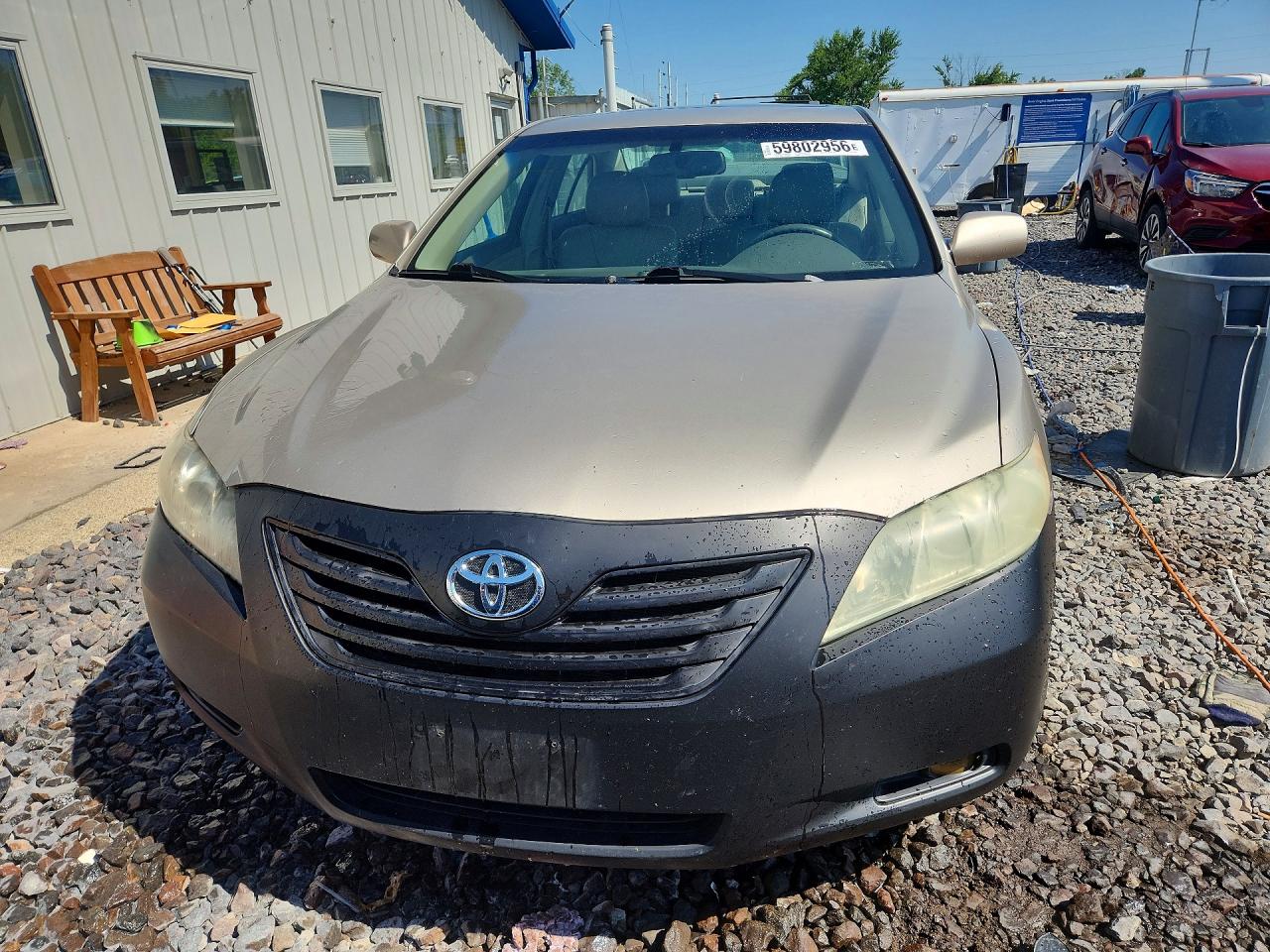 2009 Toyota Camry Xle V6 Gold vin: 4T1BK46K39U583877