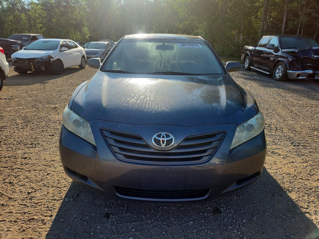 2007 Toyota Camry Le V6 Charcoal vin: 4T1BK46K47U043533