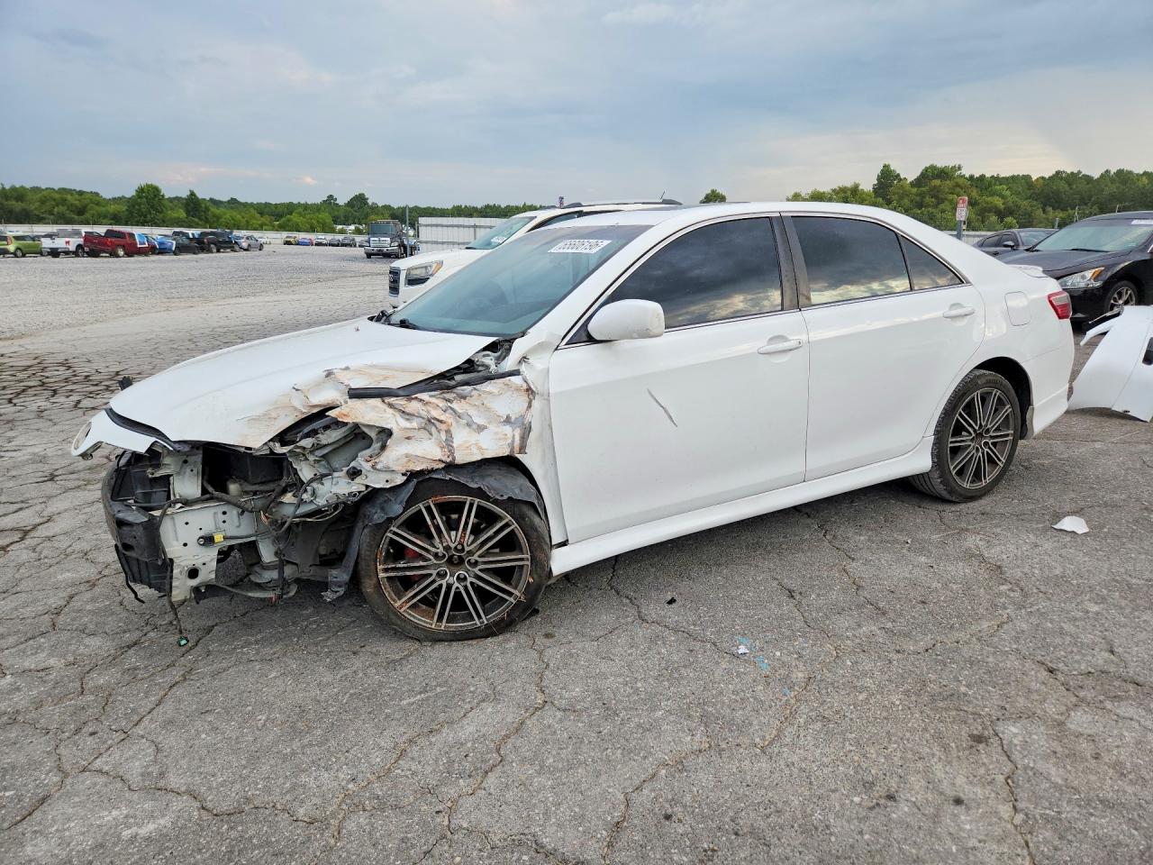 2009 Toyota Camry Se V6 Белый vin: 4T1BK46K59U593889
