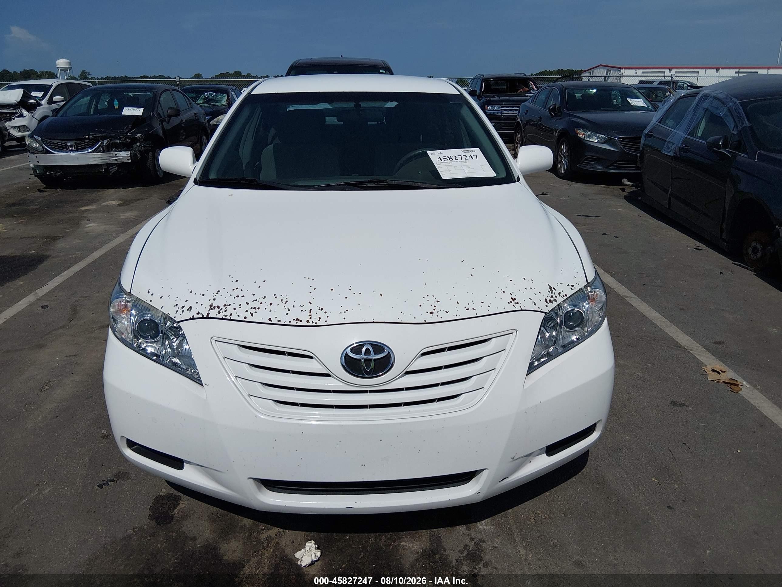 2009 Toyota Camry Le V6 White vin: 4T1BK46K79U584403