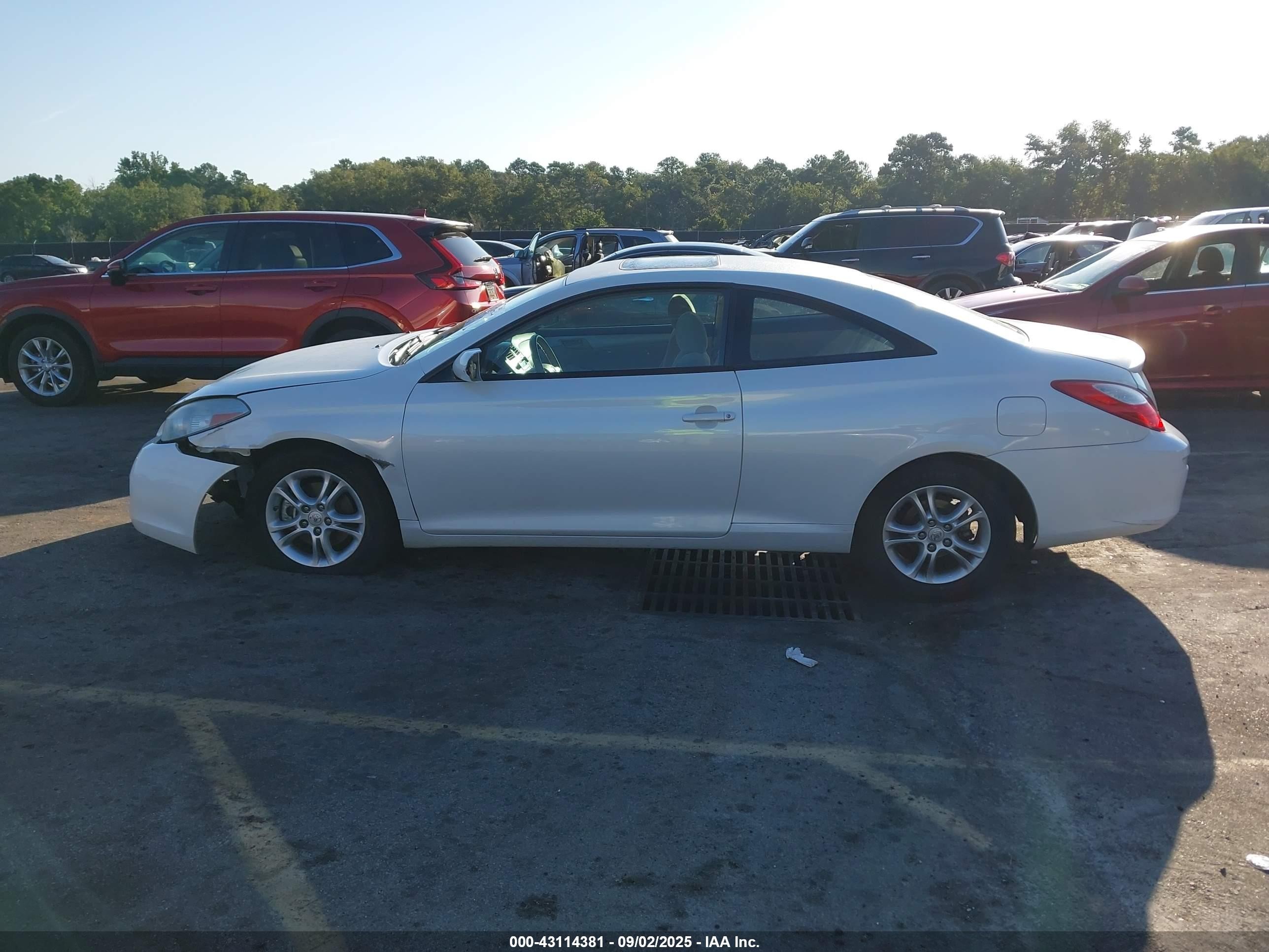 2008 Toyota Camry Solara Se White vin: 4T1CE30P28U766406