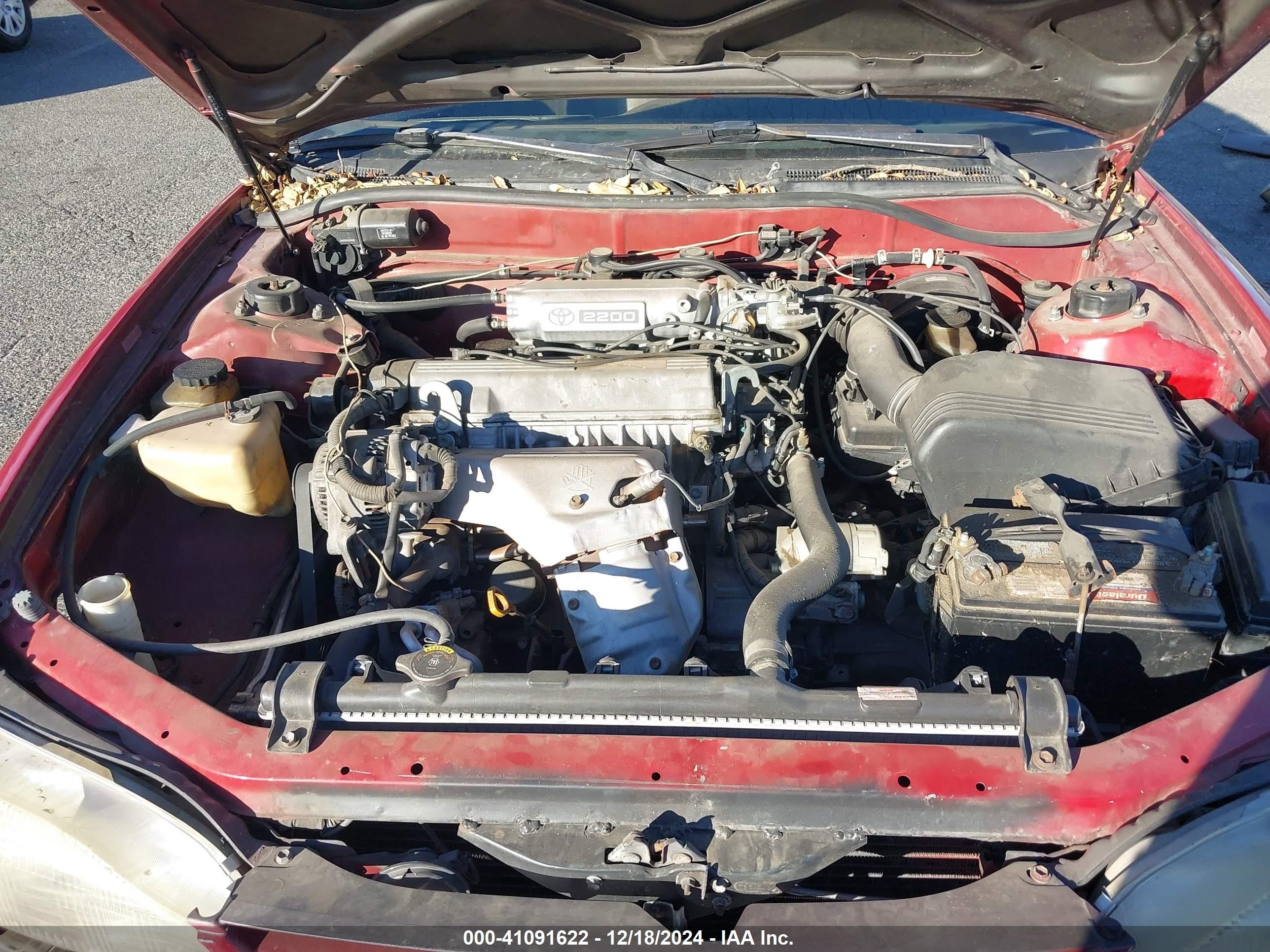 1996 Toyota Camry Dx/le Burgundy vin: 4T1CG12K6TU722904