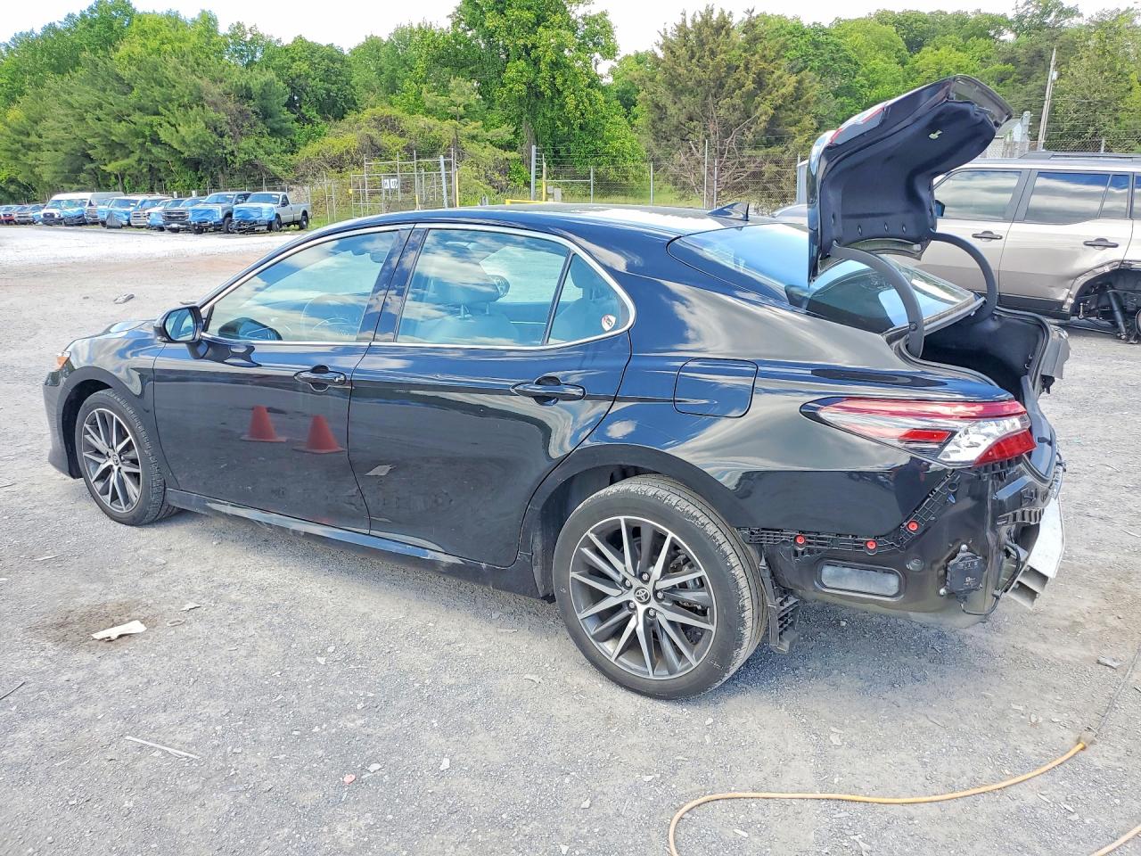 2023 Toyota Camry Xle Black vin: 4T1F11BK2PU099723