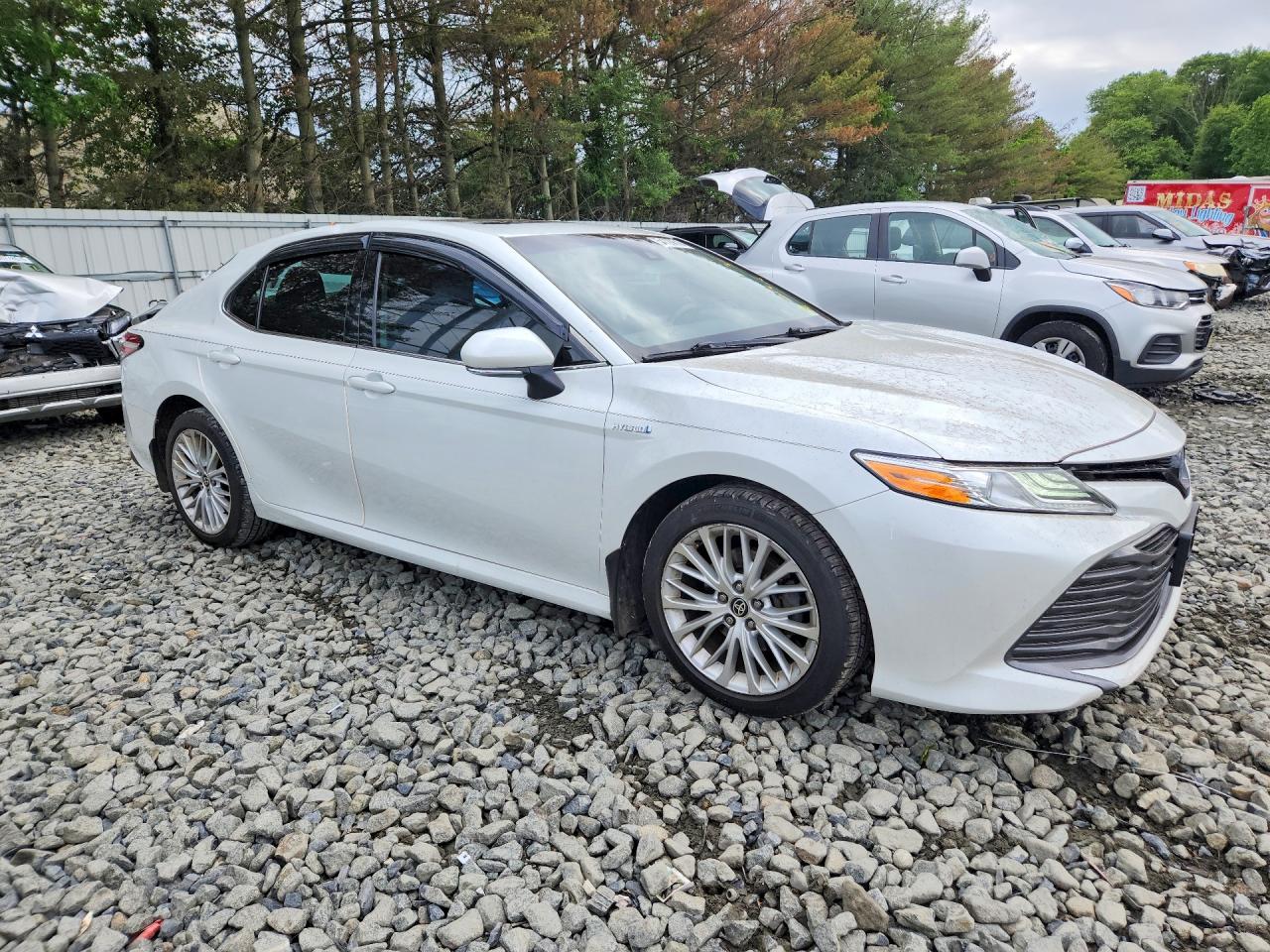2020 Toyota Camry Xle White vin: 4T1F31AK0LU543896