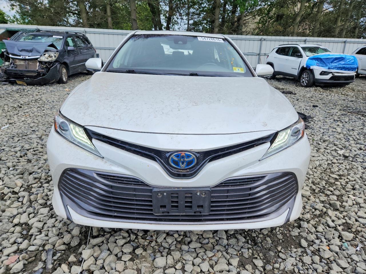 2020 Toyota Camry Xle White vin: 4T1F31AK0LU543896