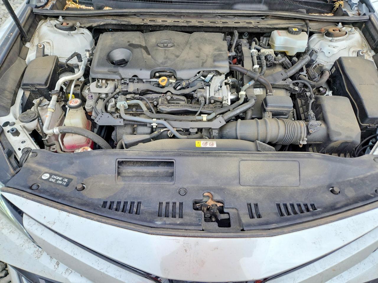 2020 Toyota Camry Xle White vin: 4T1F31AK0LU543896