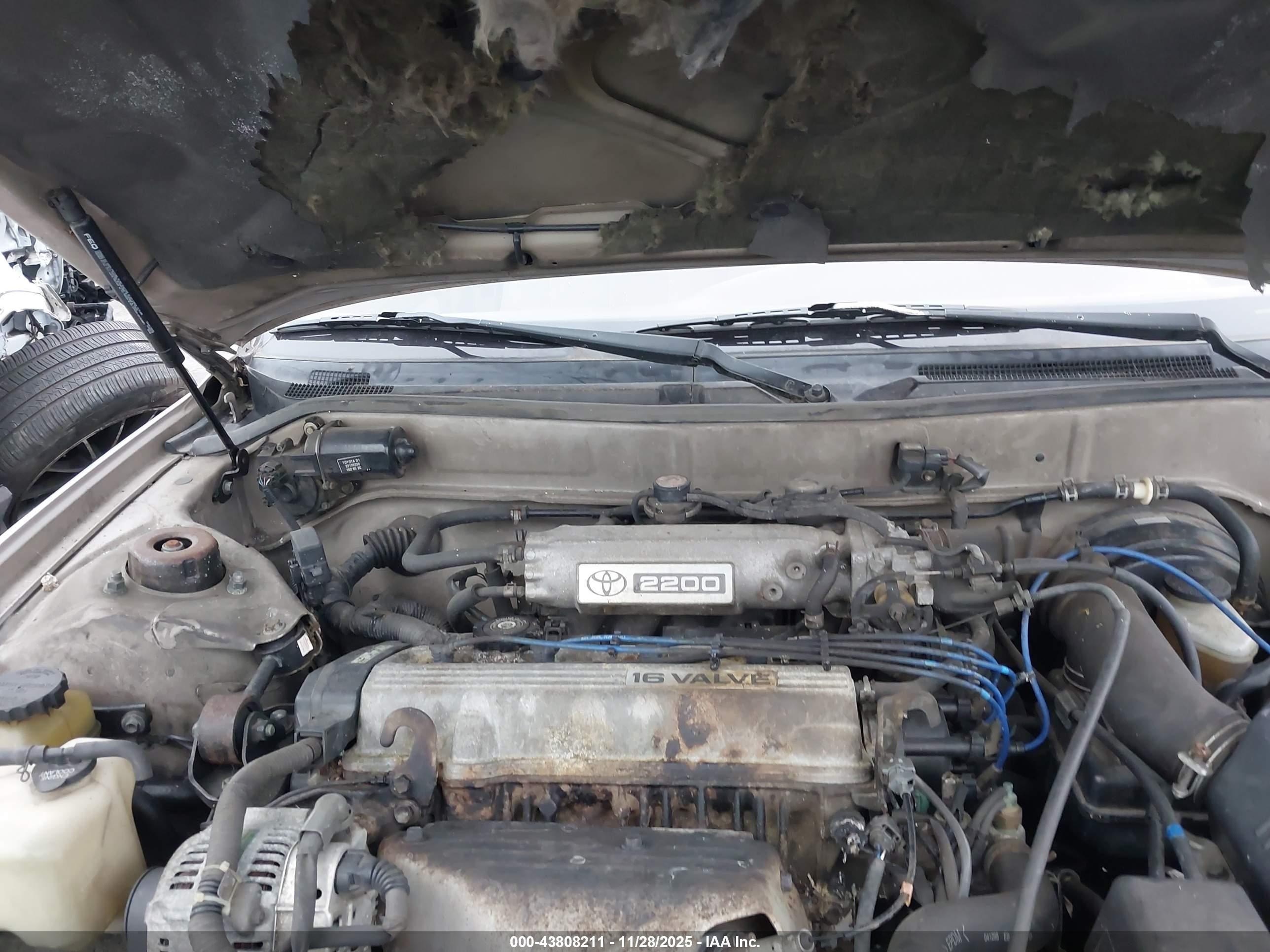 1995 Toyota Camry Le Gold vin: 4T1SK12E0SU613504