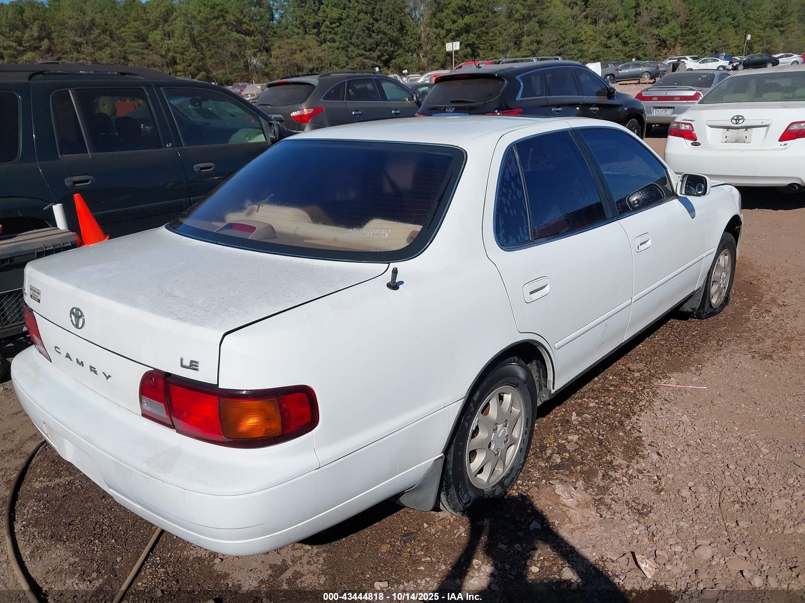 1995 Toyota Camry Le Белый vin: 4T1SK12E1SU894180