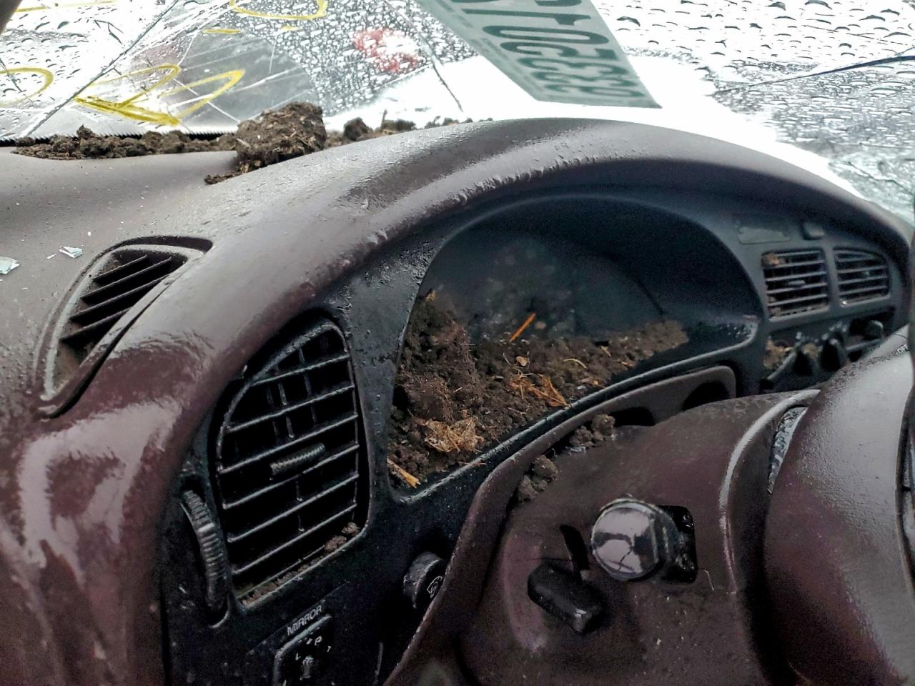 1994 Toyota Camry Le Серый vin: 4T1SK12E8RU410435