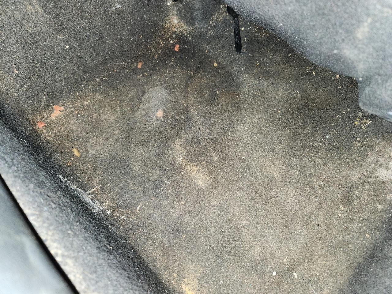 2024 Toyota Camry Se Синий vin: 4T1T11BK7RU125612 Damage: Right Rear Carpet, Stained, Permanent