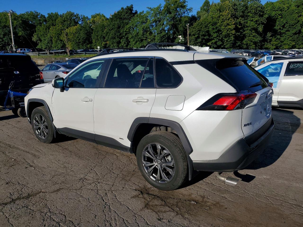 2023 Toyota Rav4 Xle Premium White vin: 4T3B6RFV9PU135806