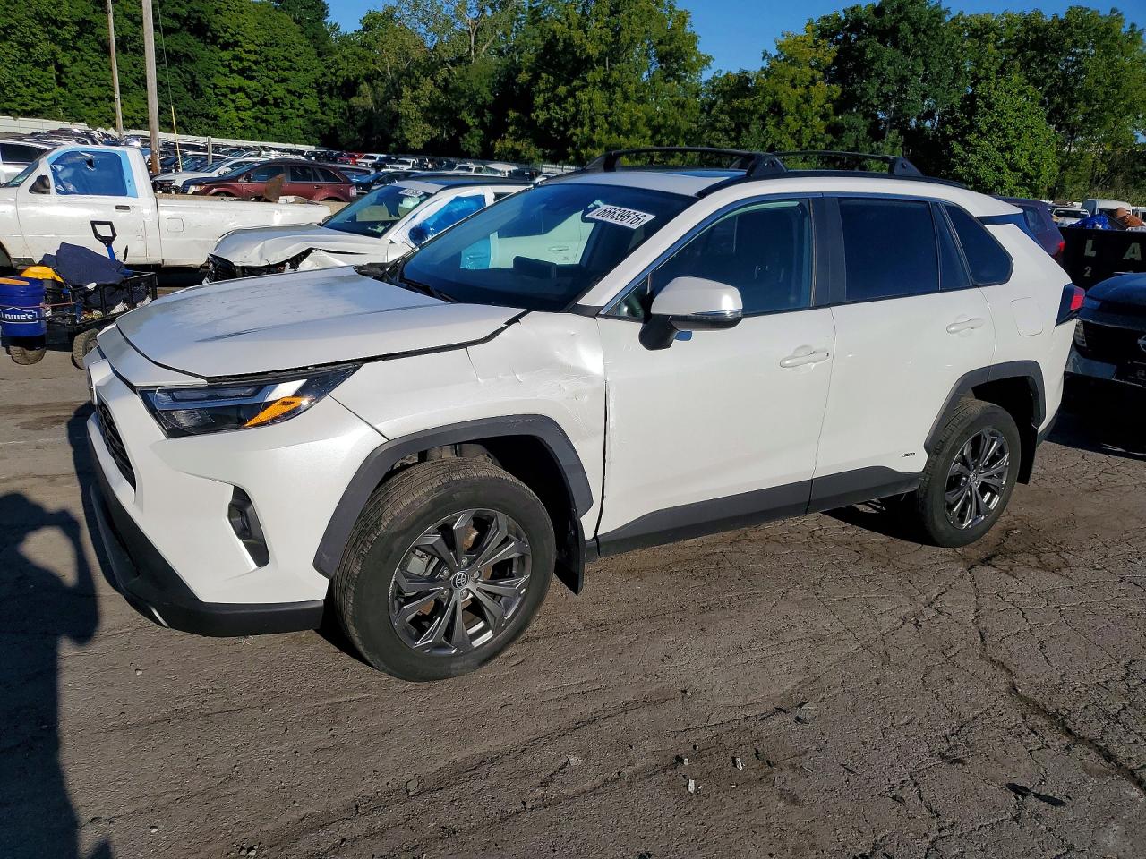 2023 Toyota Rav4 Xle Premium White vin: 4T3B6RFV9PU135806