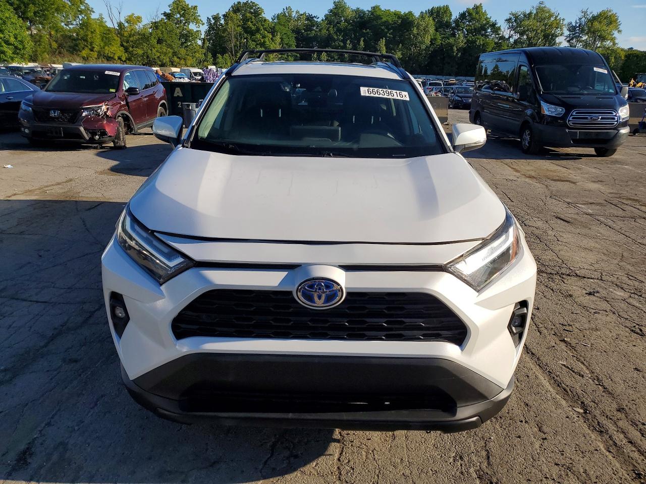 2023 Toyota Rav4 Xle Premium White vin: 4T3B6RFV9PU135806