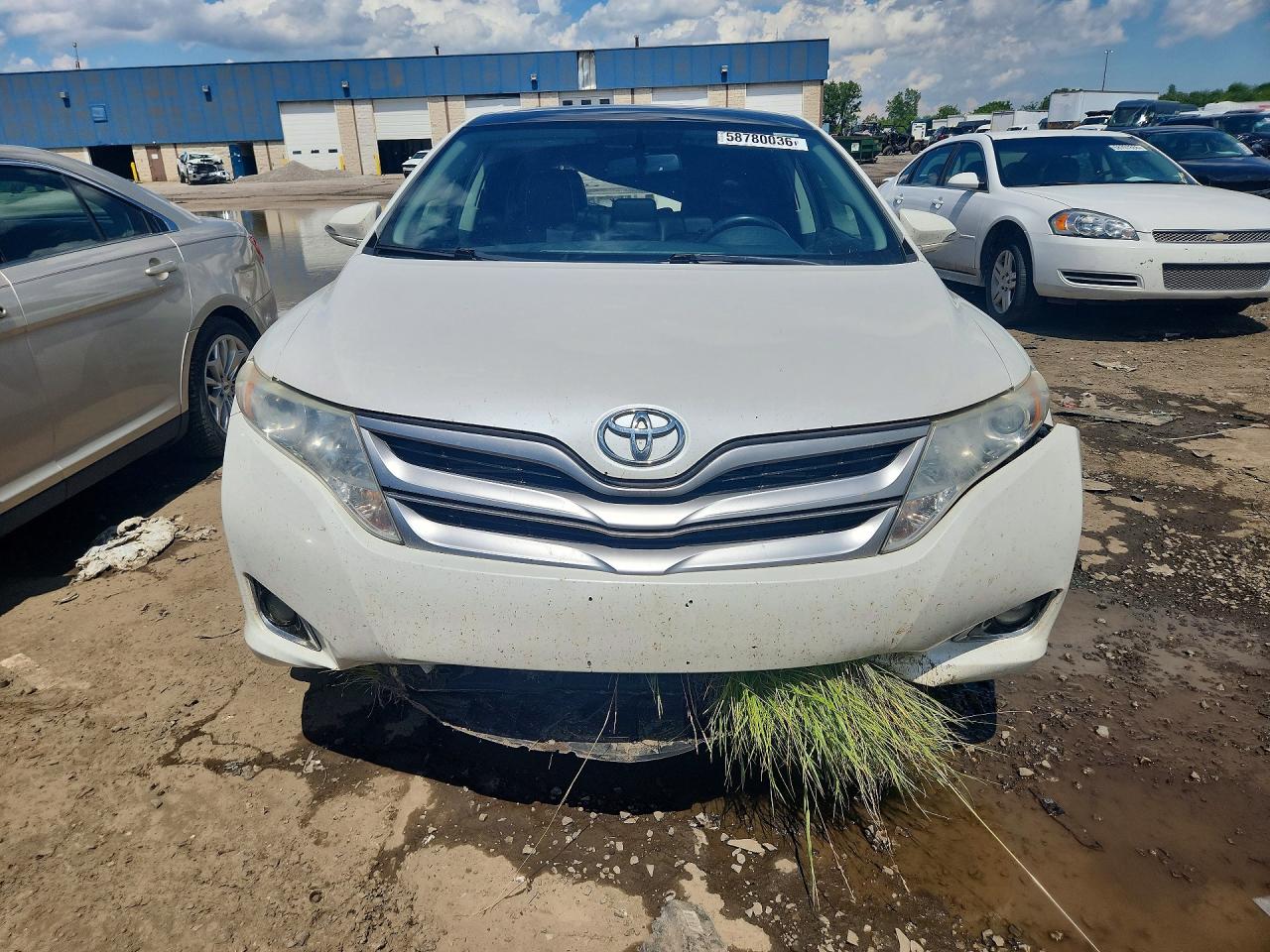 2013 Toyota Venza Xle White vin: 4T3BK3BB1DU088447