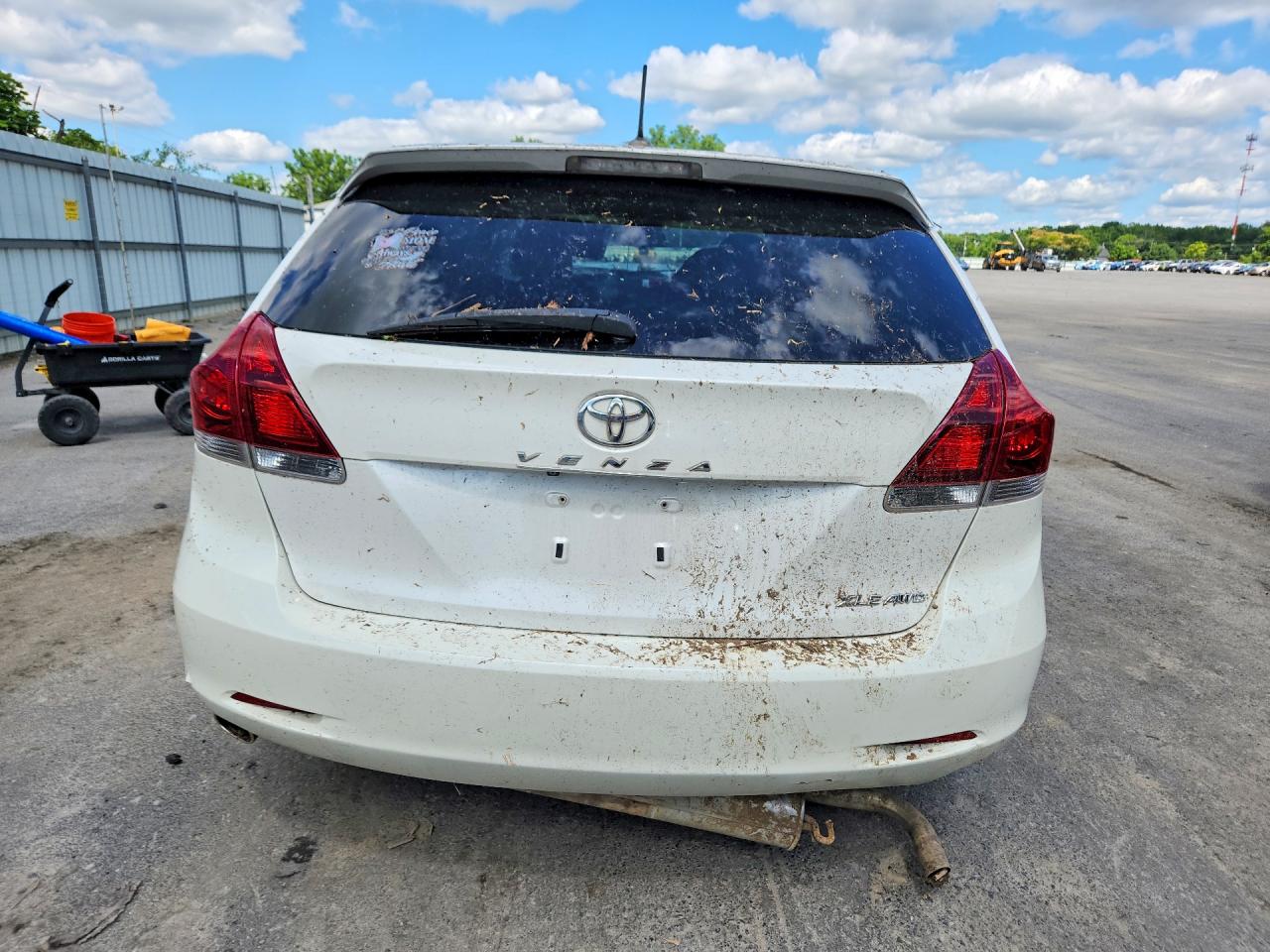 2013 Toyota Venza Xle Белый vin: 4T3BK3BB8DU086890