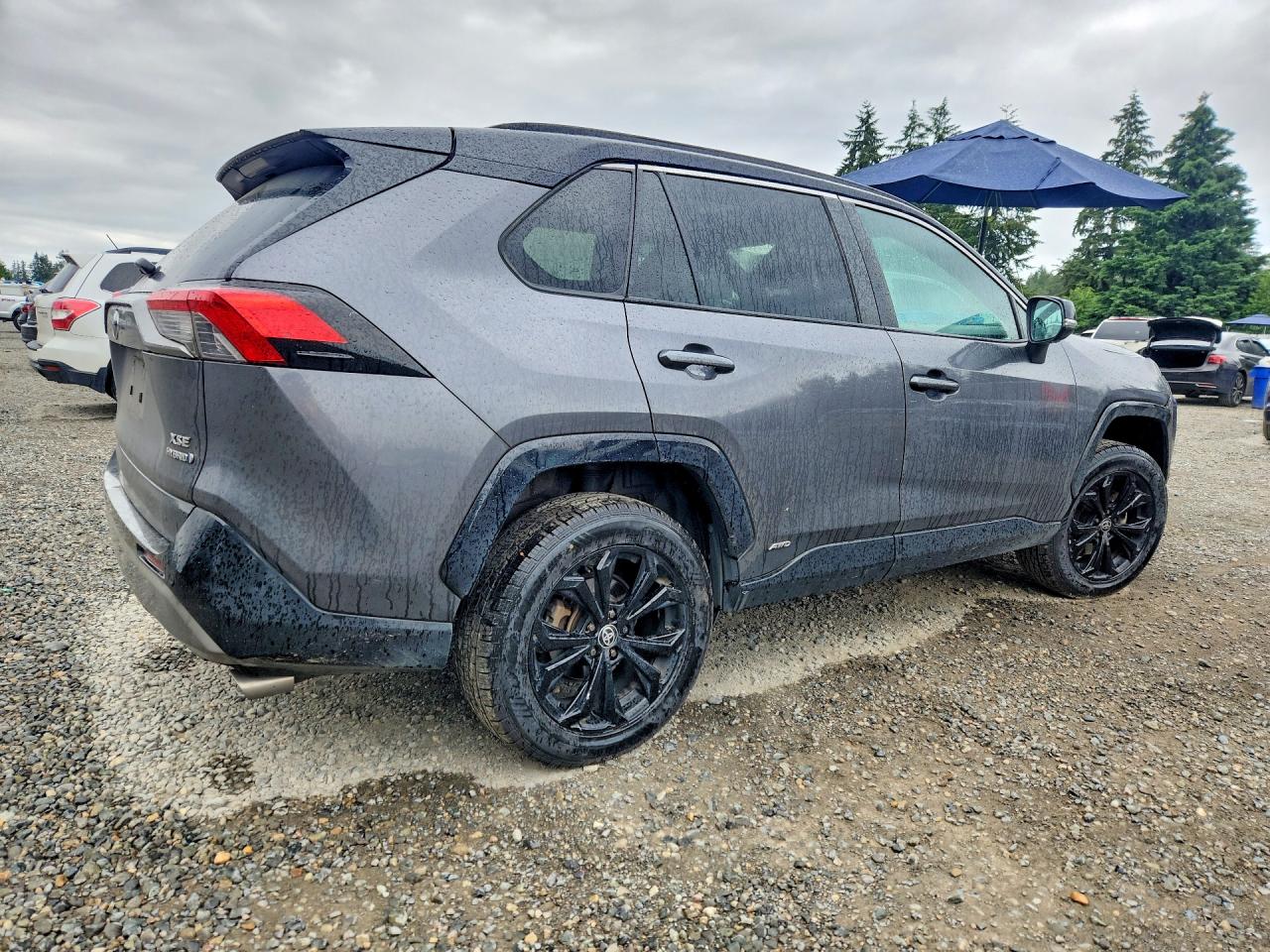 2022 Toyota Rav4 Xse Gray vin: 4T3E6RFV5NU070091